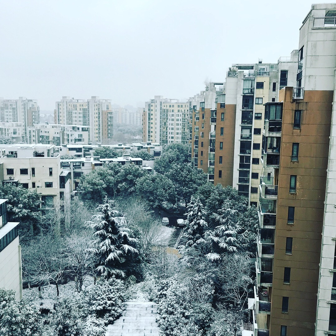 Apple iPhone 7 sample photo. White snow photography