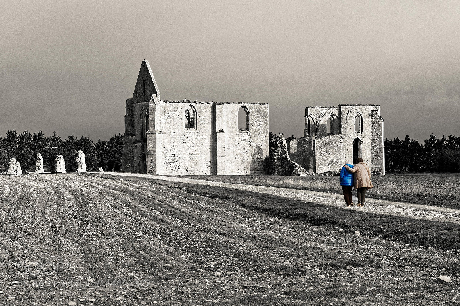 Olympus OM-D E-M1 sample photo. Abbaye des châteliers photography