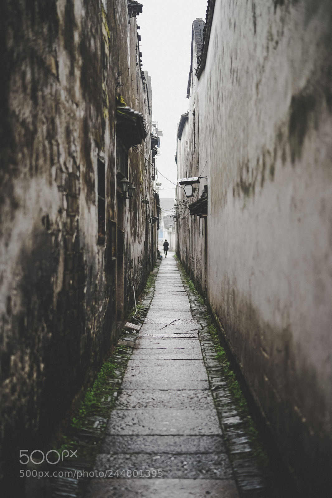 Sony a7 II sample photo. Wuzhen photography