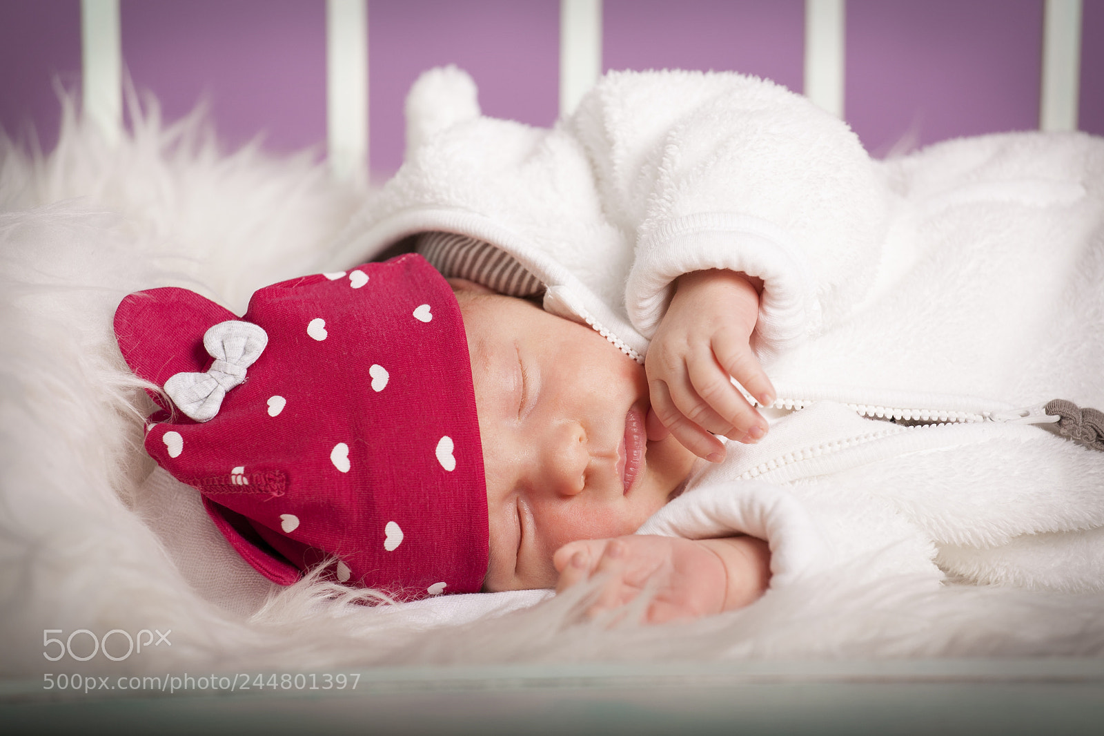 Canon EOS 5D sample photo. Untitled photography