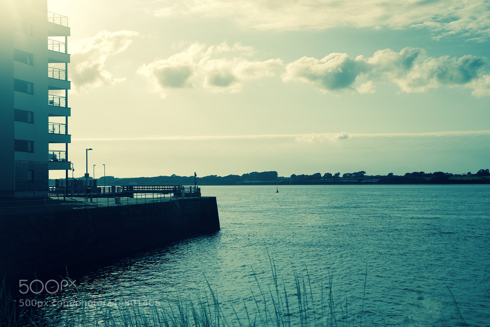 Nikon D800 sample photo. Fullsizeoutput d photography