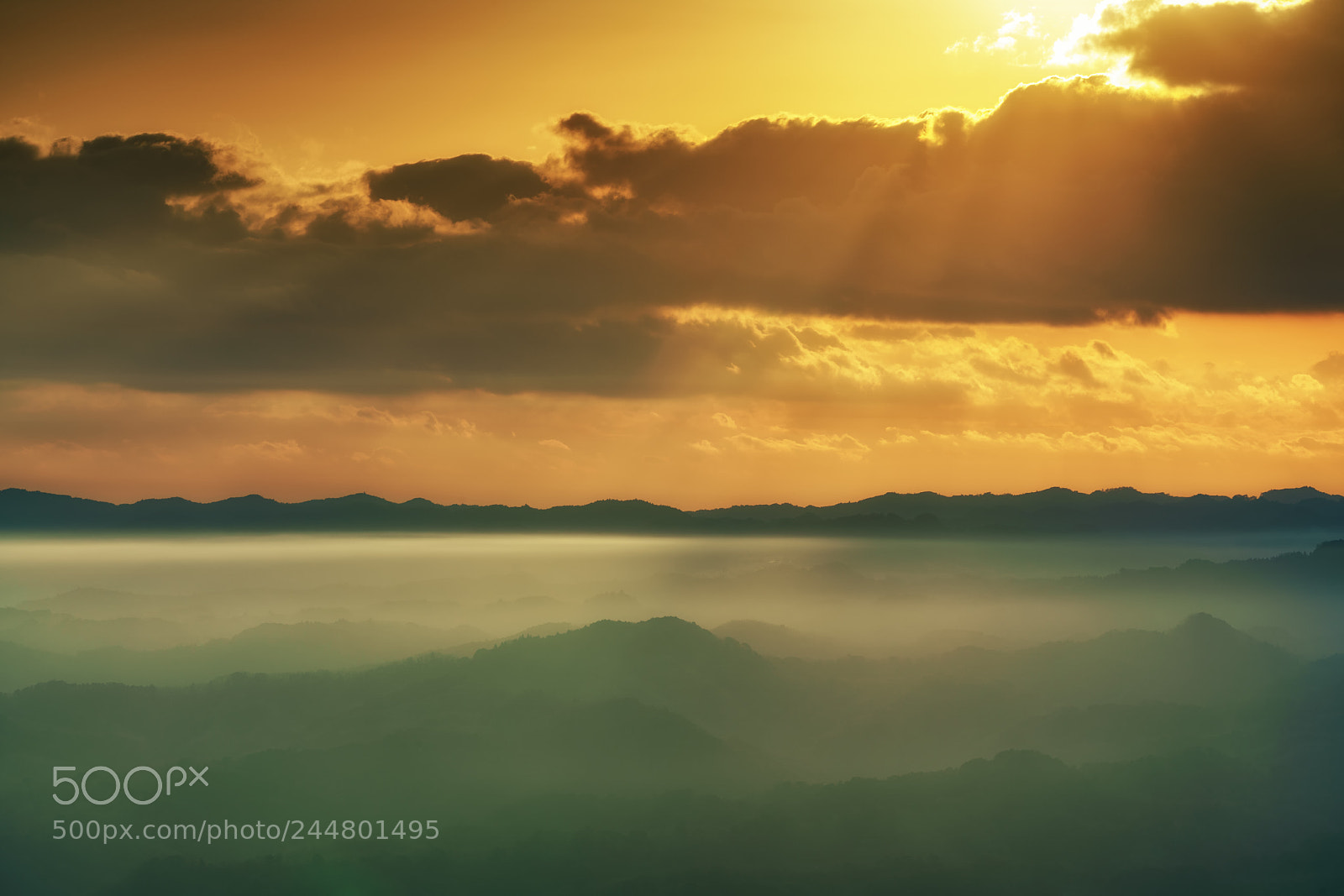 Sony a7R III sample photo. Shine on the fog photography