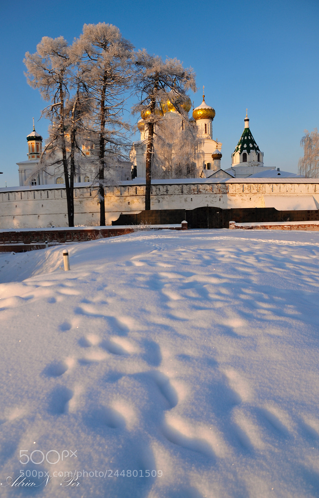 Nikon D300S sample photo. Winter in russia photography