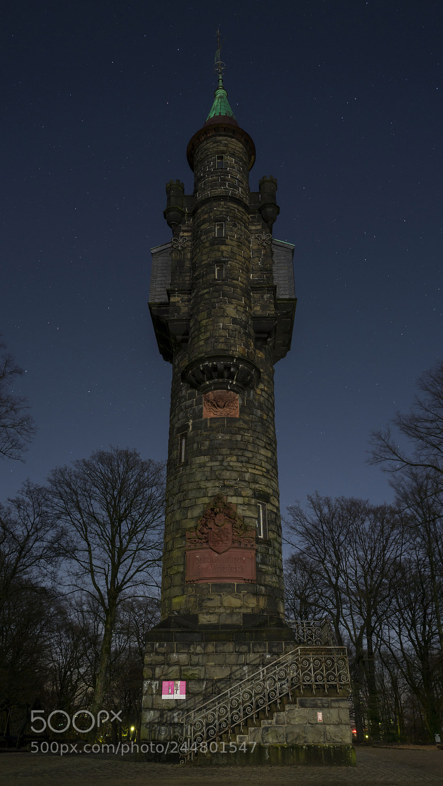 Sony a7 II sample photo. Rapunzel's home photography