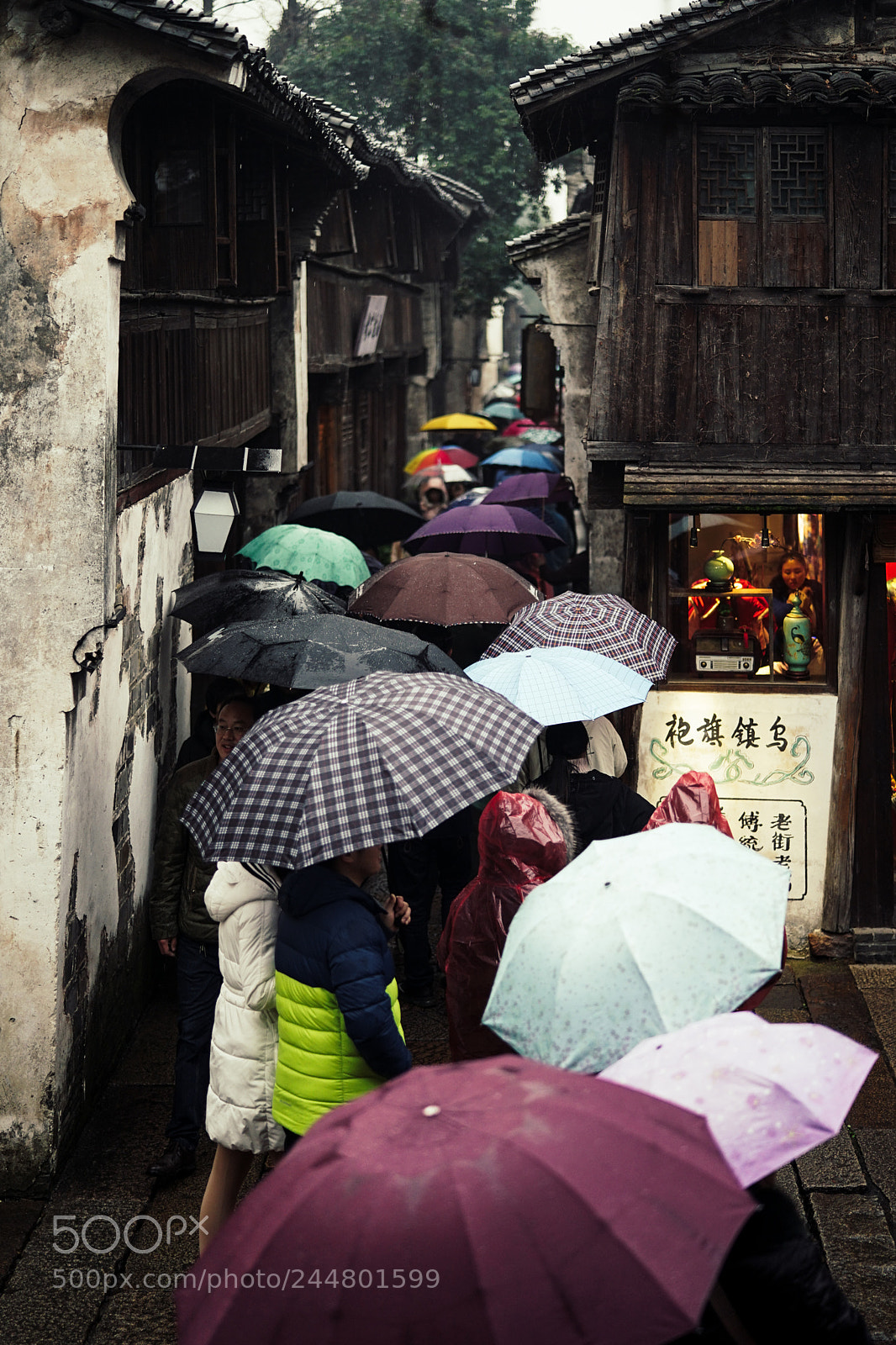 Sony a7 II sample photo. Wuzhen photography