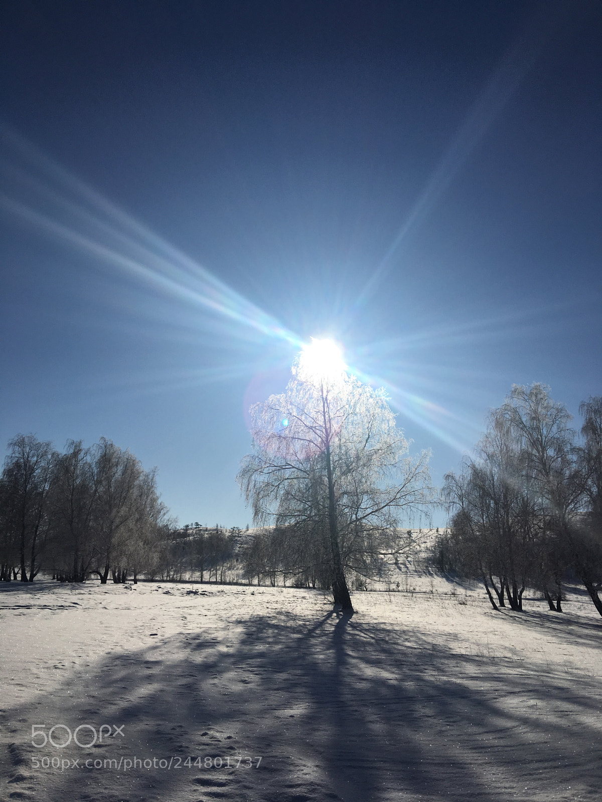 Apple iPhone 6s Plus sample photo. Untitled photography