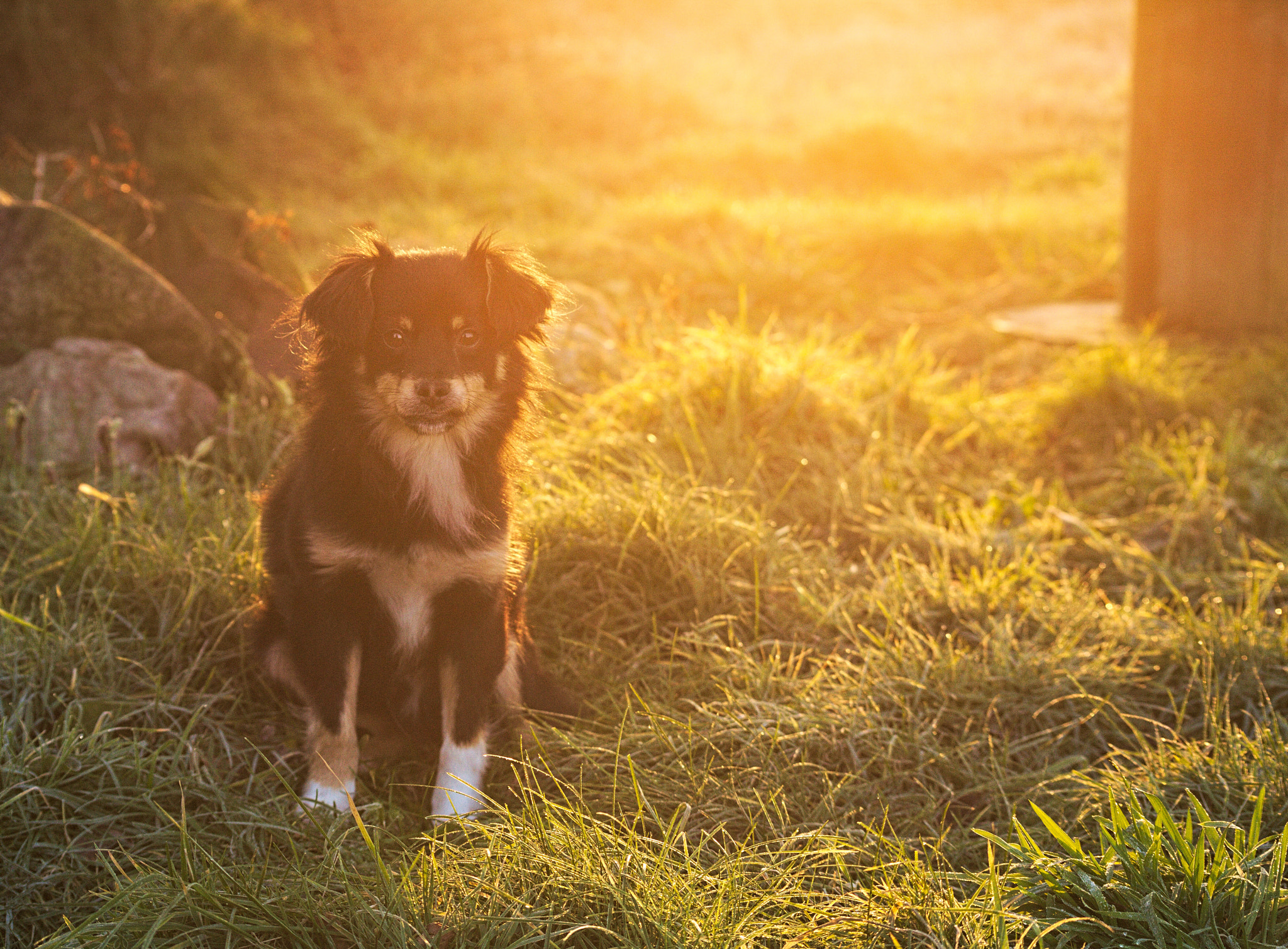 Canon EOS 5D sample photo. Little "bear" photography