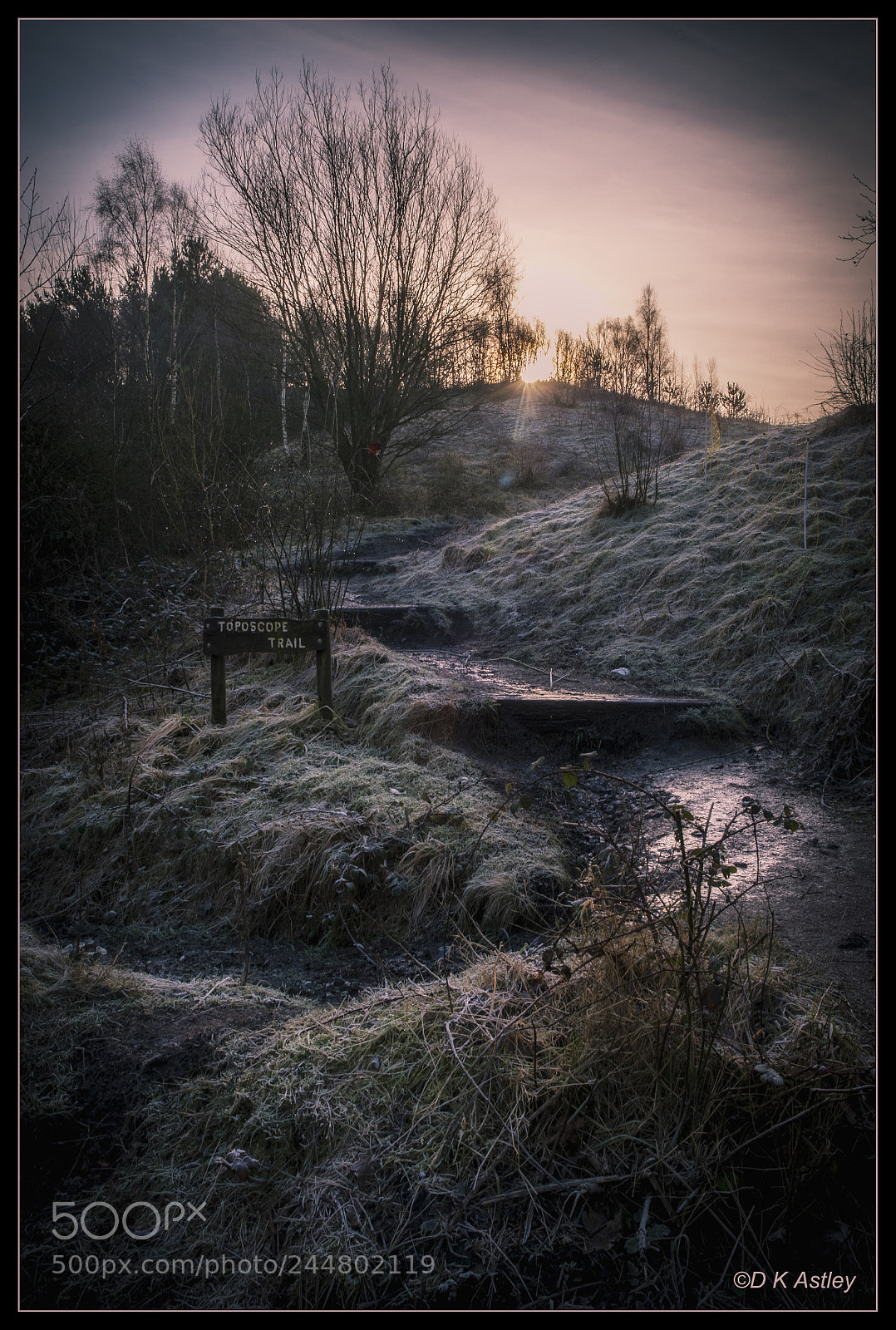 Nikon D300 sample photo. Baggeridge country park photography