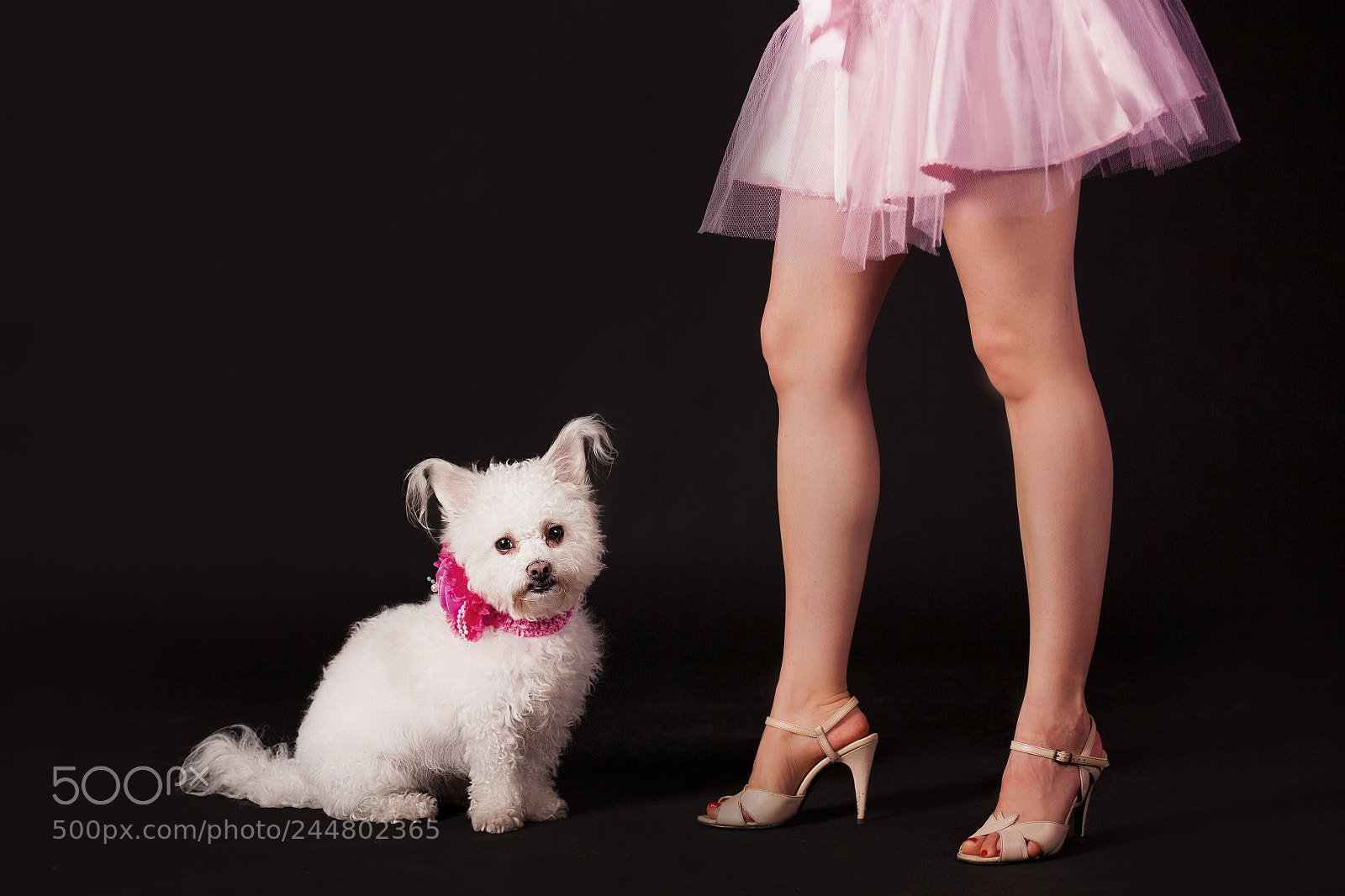 Canon EOS 5D sample photo. Untitled photography