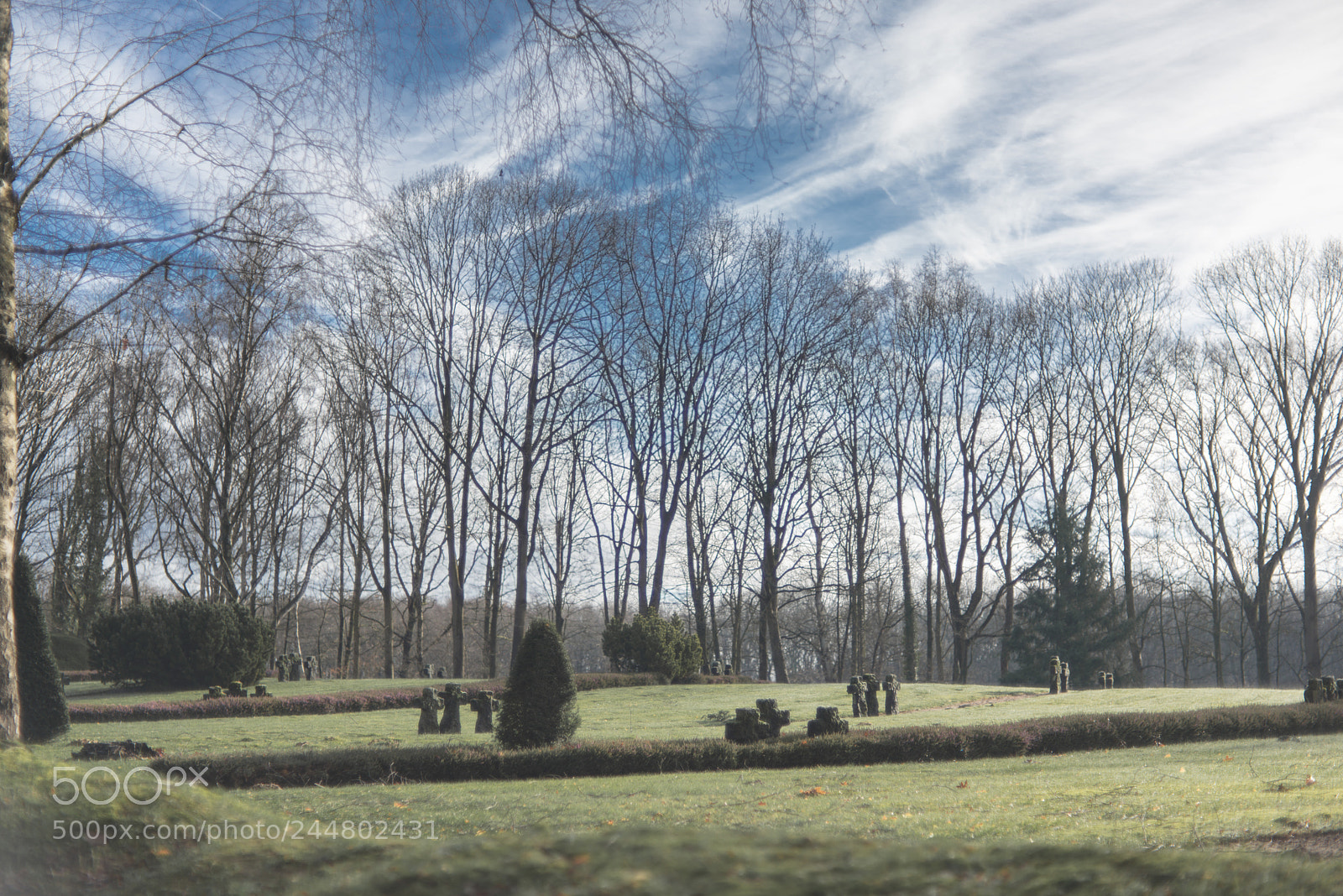 Nikon D600 sample photo. Kriegsgräberstätte weeze photography