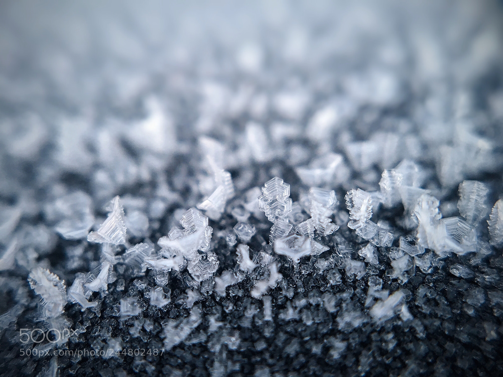 Apple iPhone 6s sample photo. Ones in the frozen photography