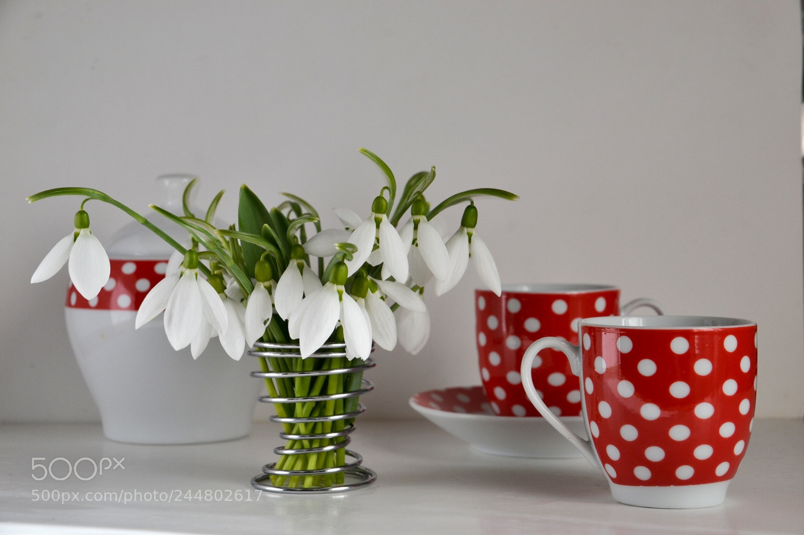 Nikon D3100 sample photo. Untitled photography