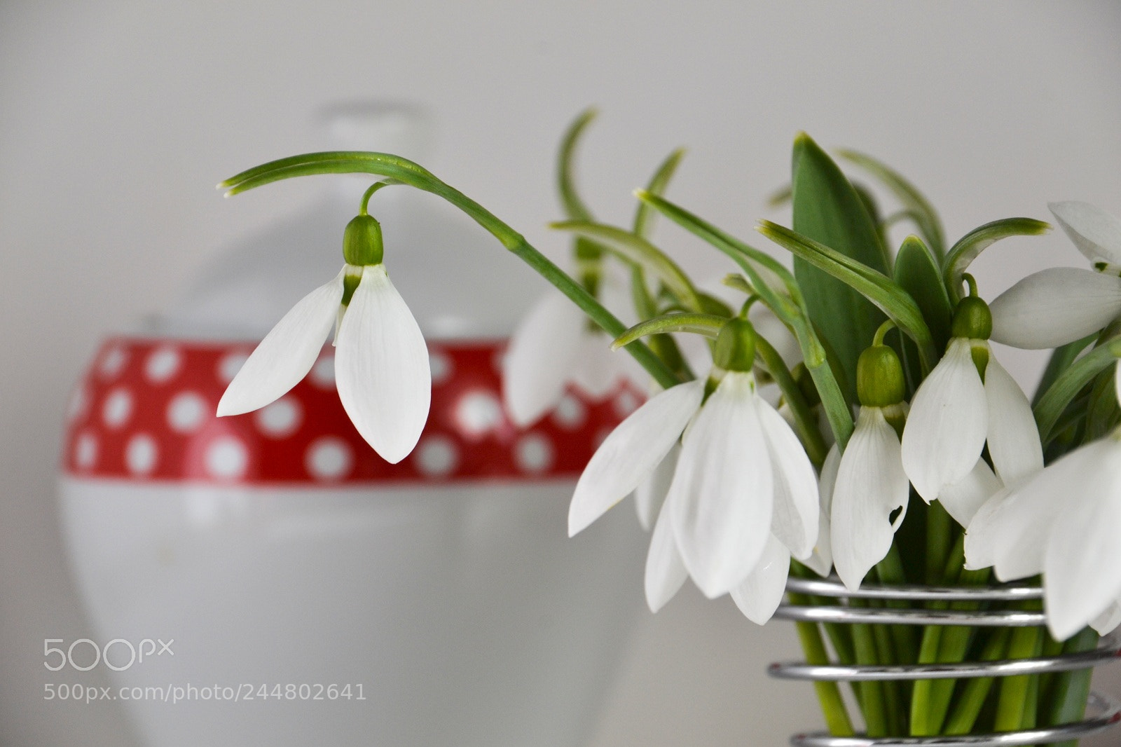 Nikon D3100 sample photo. Untitled photography