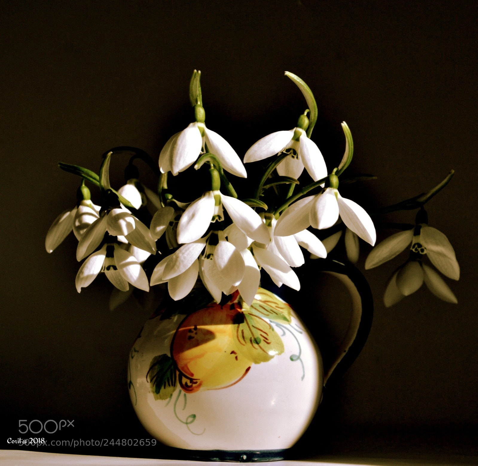 Nikon D3100 sample photo. Untitled photography