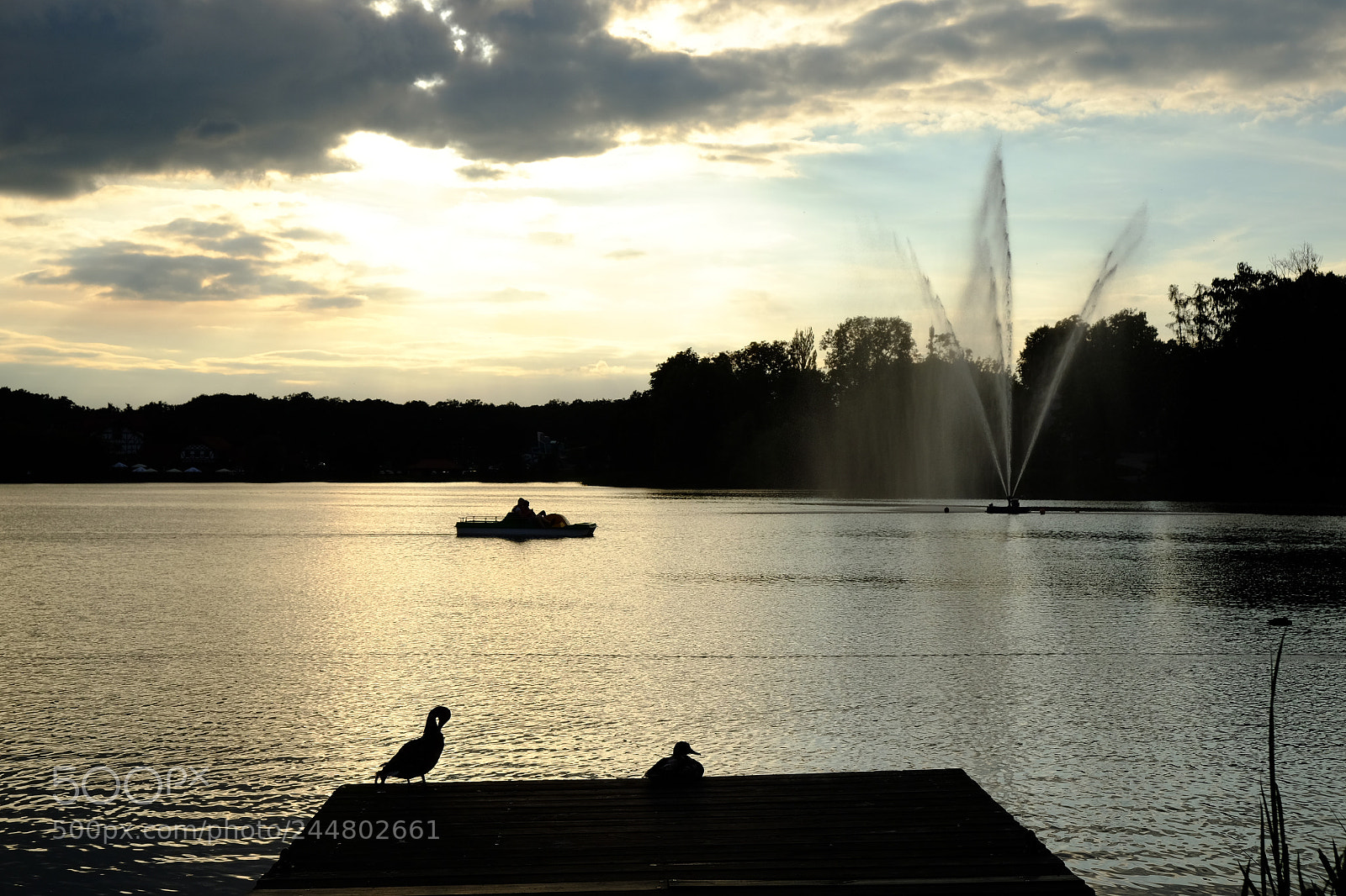 Fujifilm X-T10 sample photo. Slow down & chill up photography