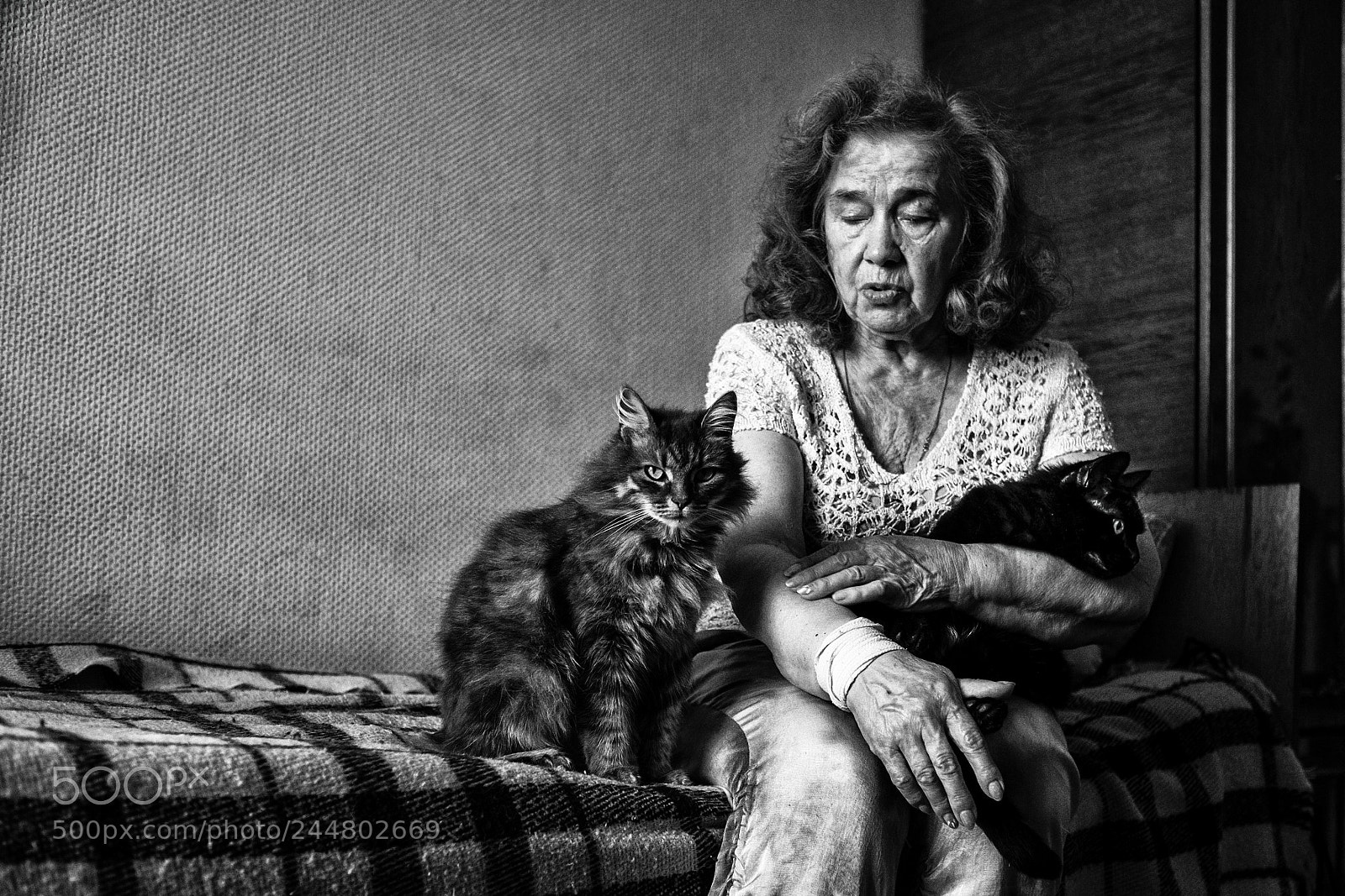 Fujifilm X-T1 sample photo. Woman with cats photography
