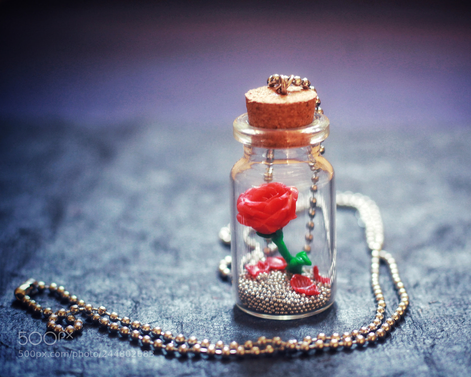Canon EOS 1200D (EOS Rebel T5 / EOS Kiss X70 / EOS Hi) sample photo. Sweet valentine's photography