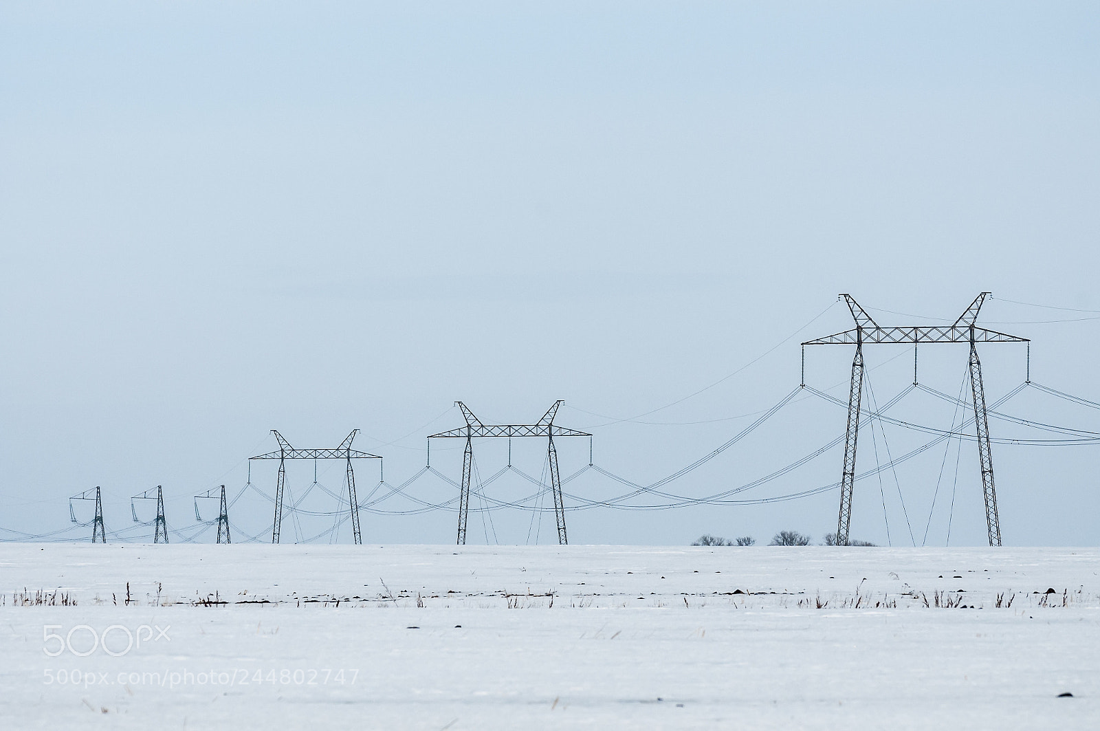 Nikon D300S sample photo. Power line photography
