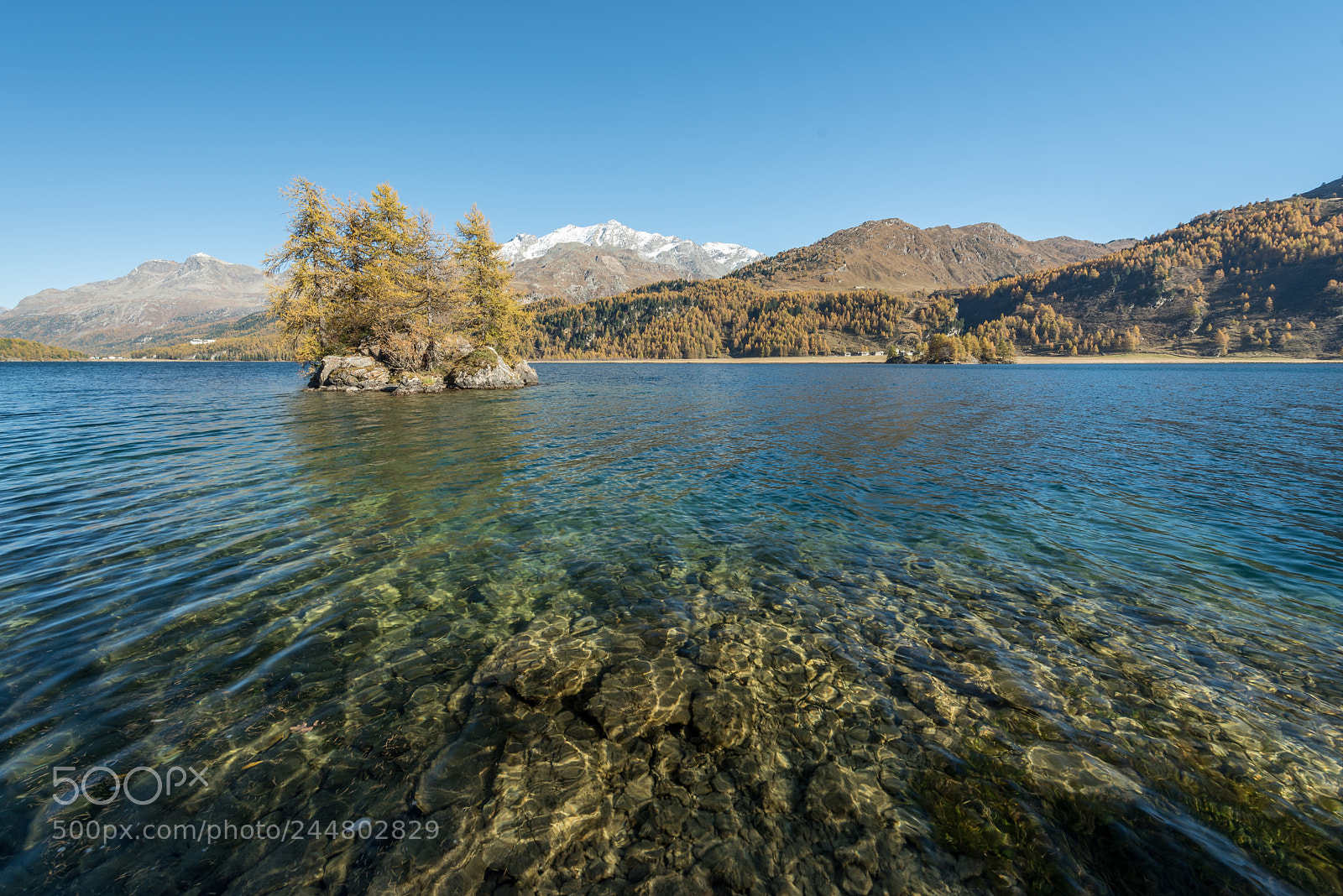 Nikon D810 sample photo. Golden autumn photography
