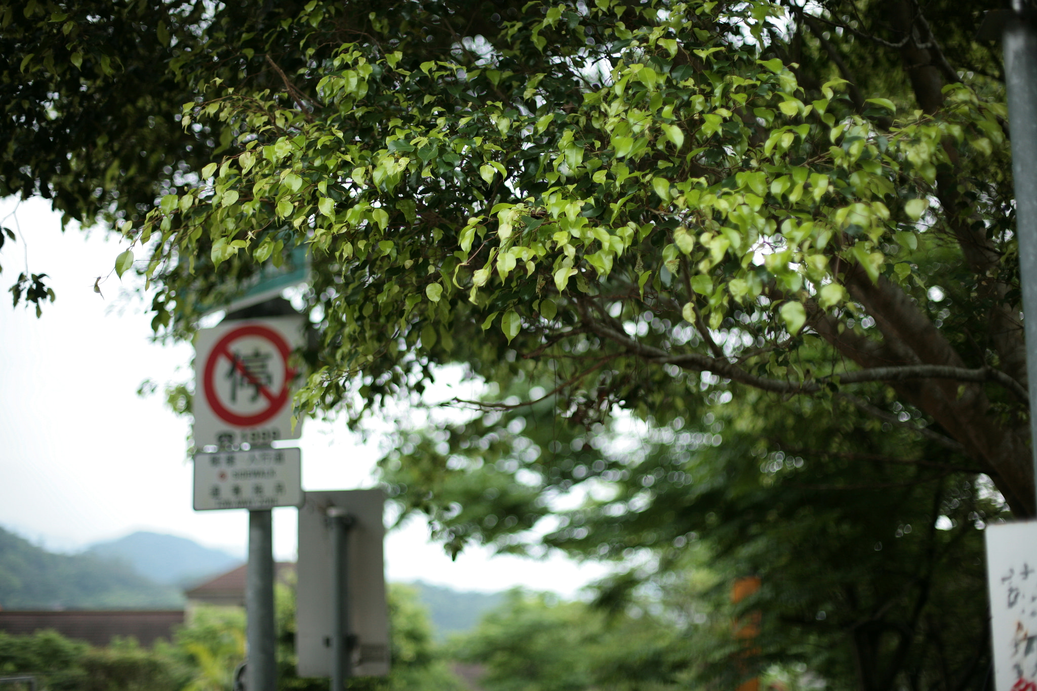 Canon EOS 5D + Canon EF 50mm F1.4 USM sample photo. Img photography