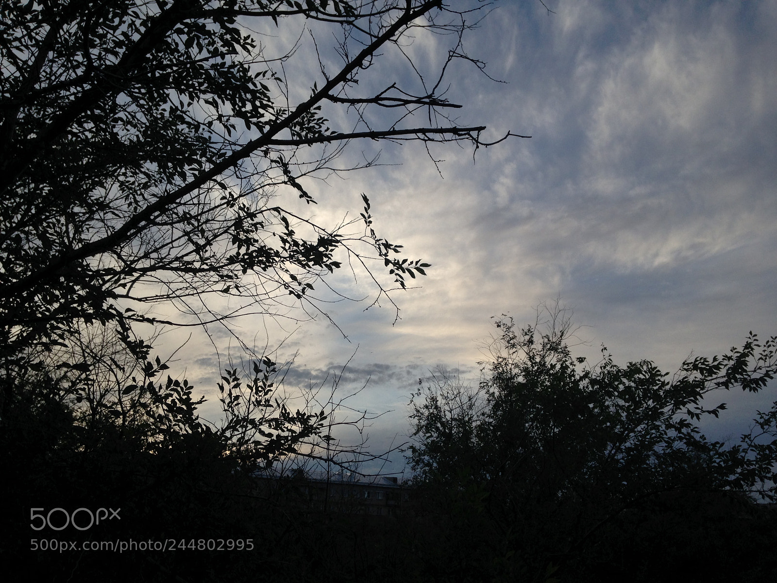 Apple iPhone 5c sample photo. Untitled photography