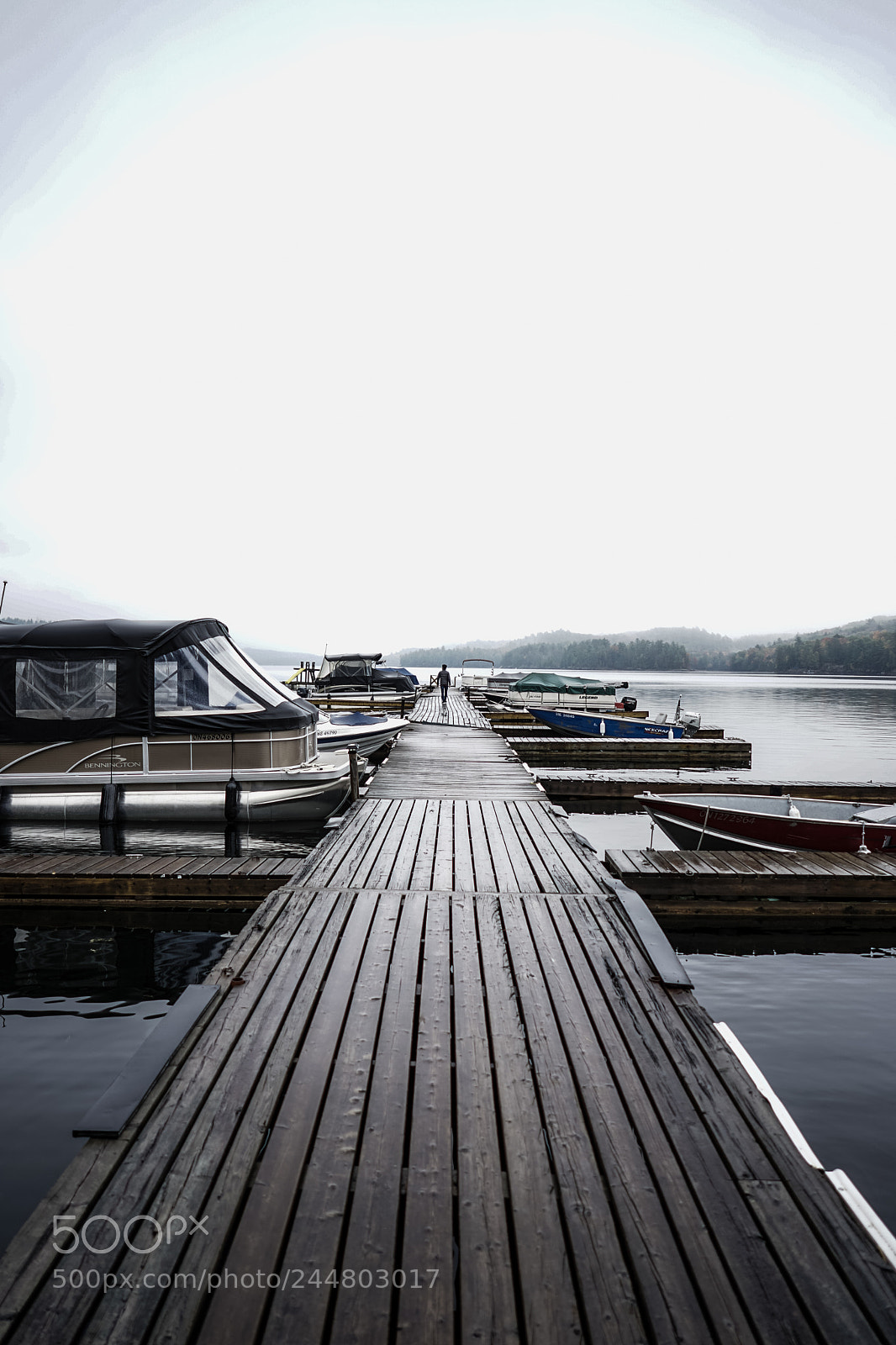 Sony a7 II sample photo. Algonquin photography
