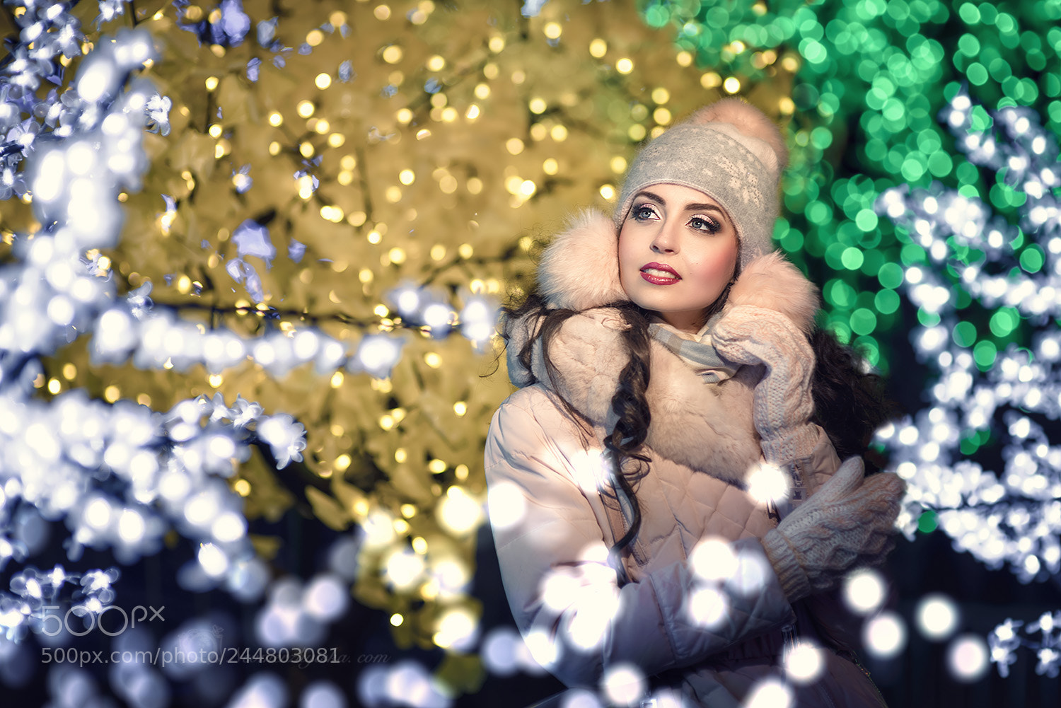 Nikon D610 sample photo. Holidays mood photography