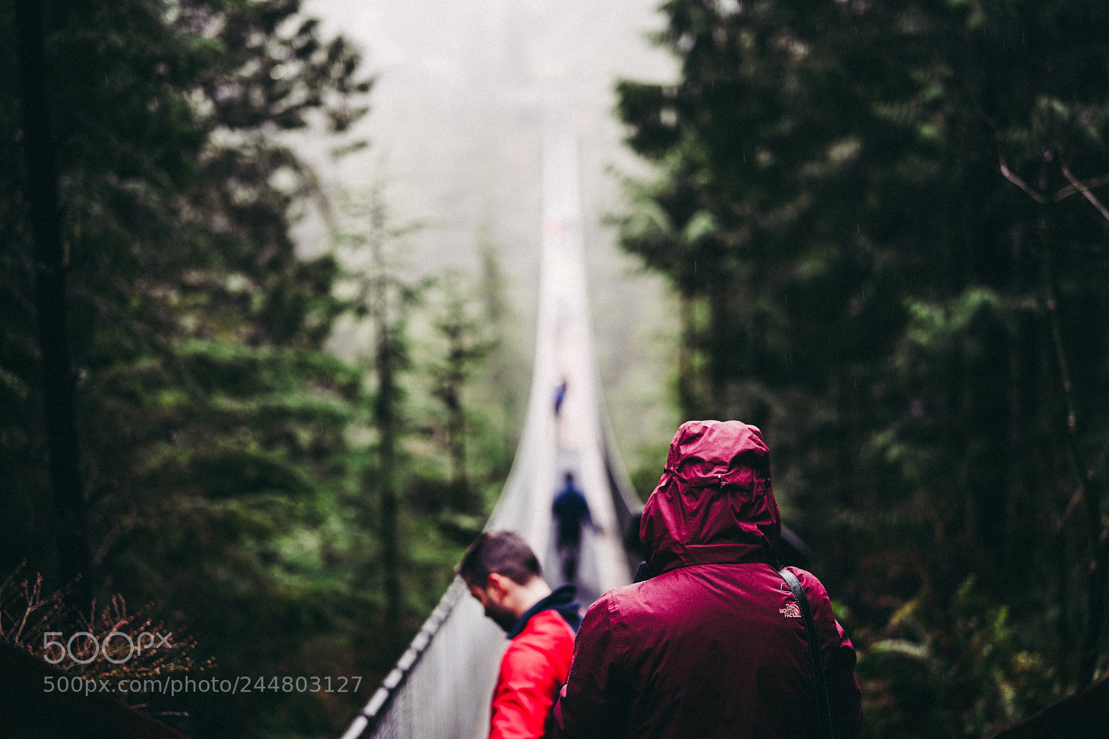 Sony a7 II sample photo. Vancouver photography