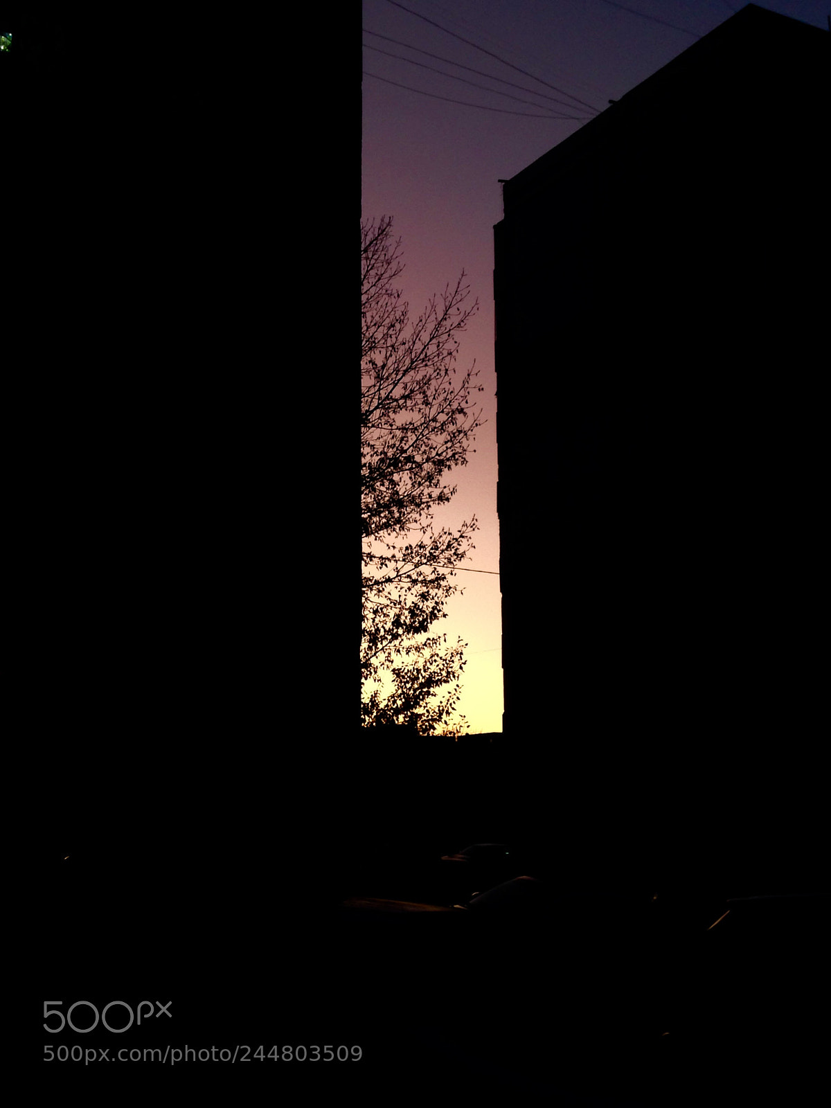 Apple iPhone 5c sample photo. Untitled photography