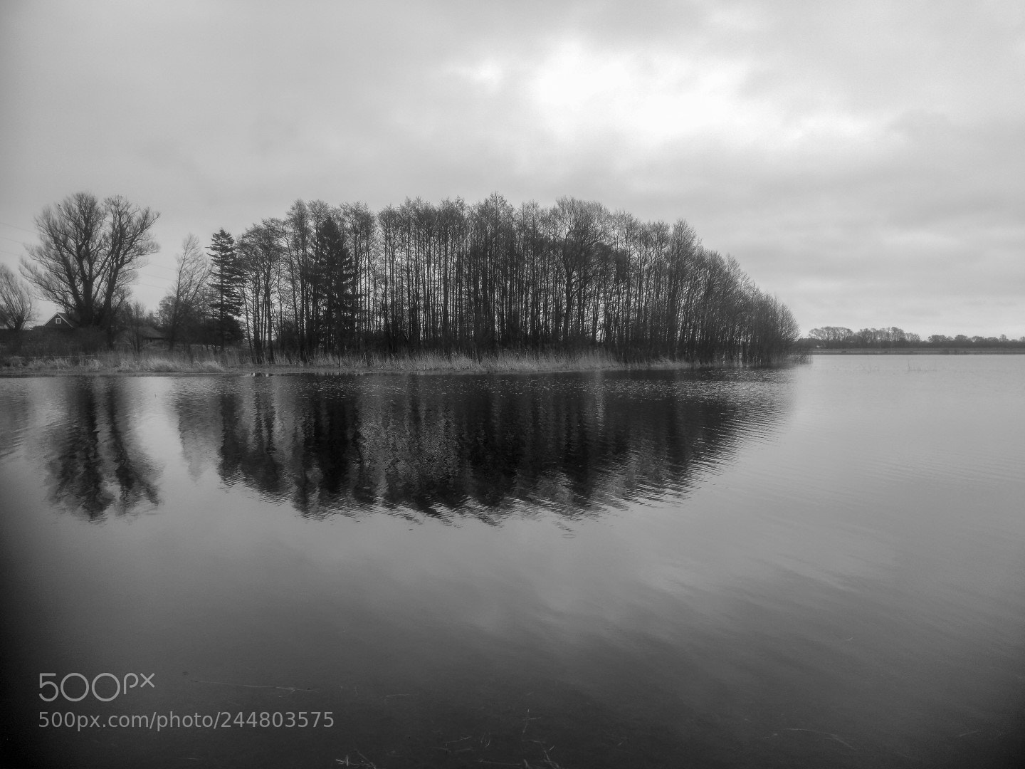 HUAWEI Honor 9 sample photo. Grey day photography