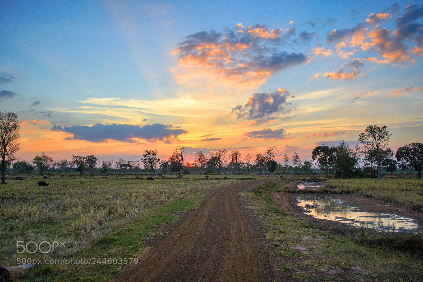 Nikon D3100 sample photo. Rural sunset photography