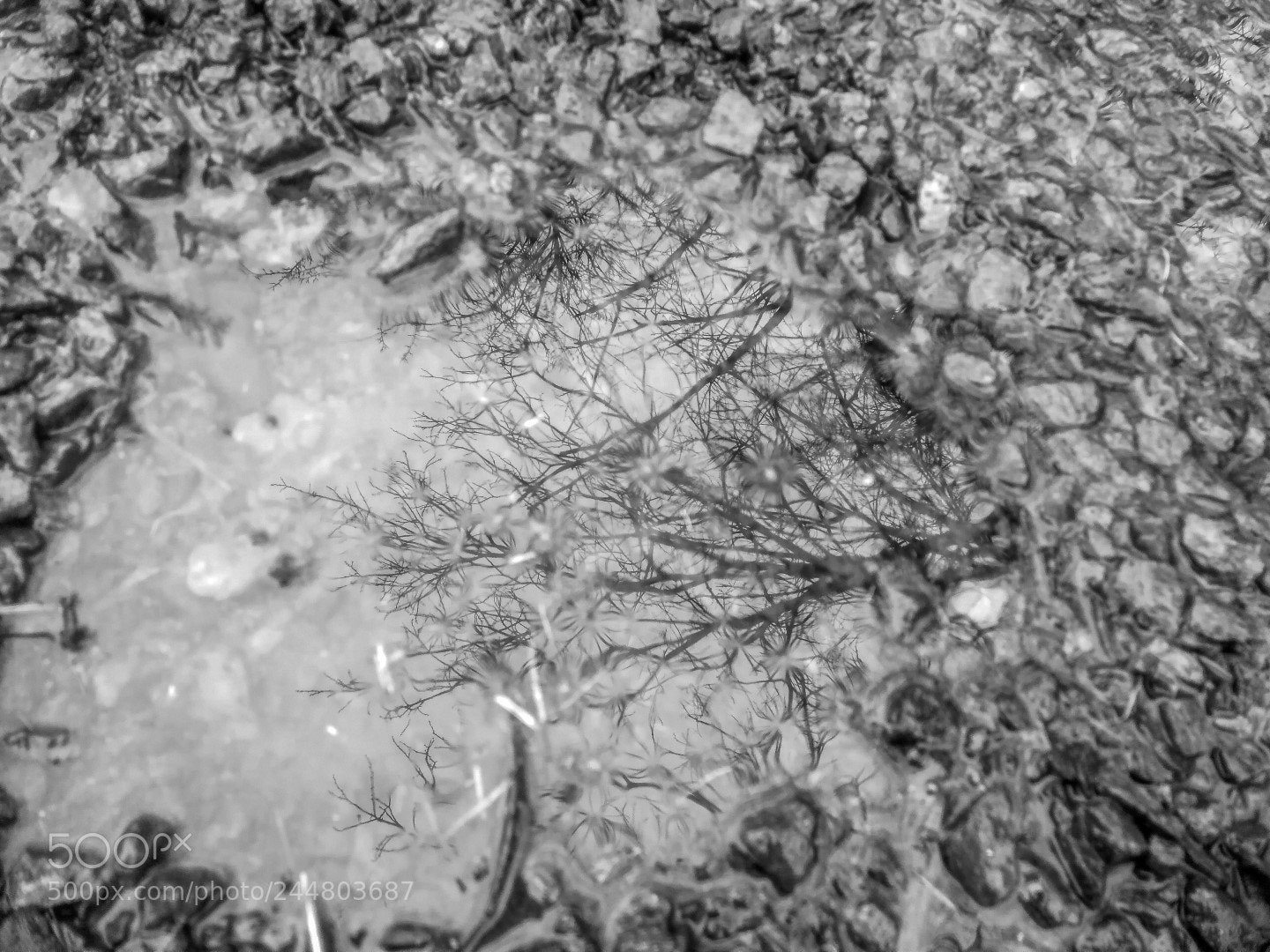 HUAWEI Honor 9 sample photo. Gravel, water, reflection photography