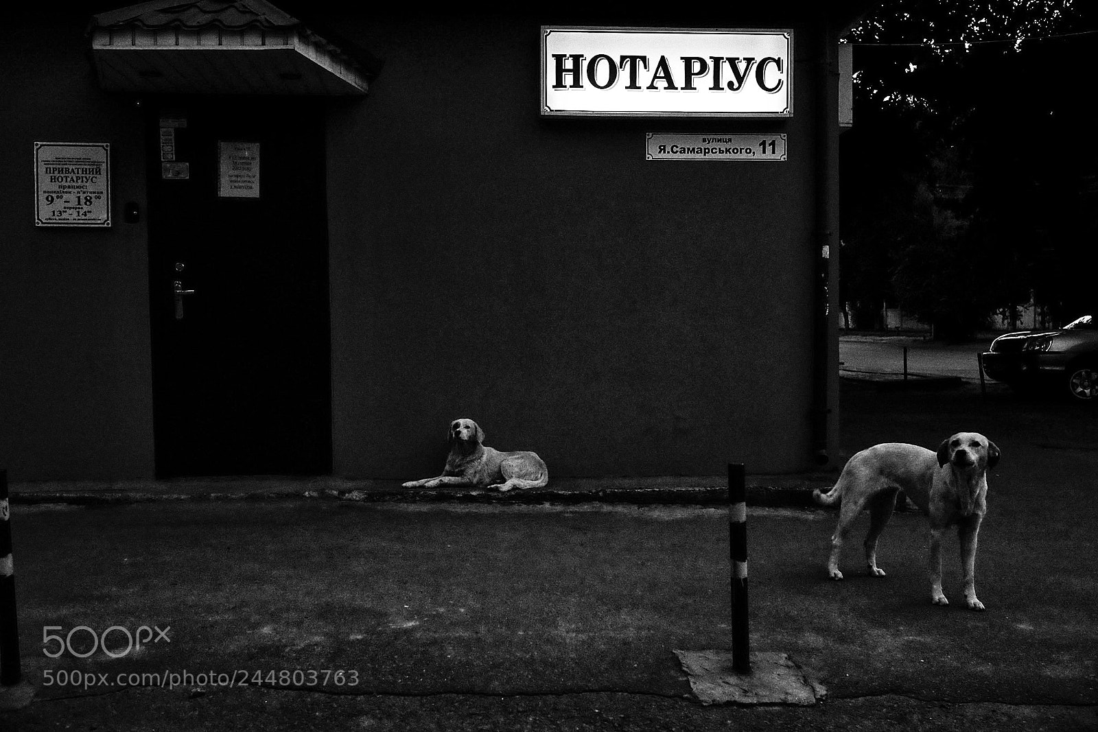 Fujifilm X-T1 sample photo. Notarius 2 photography