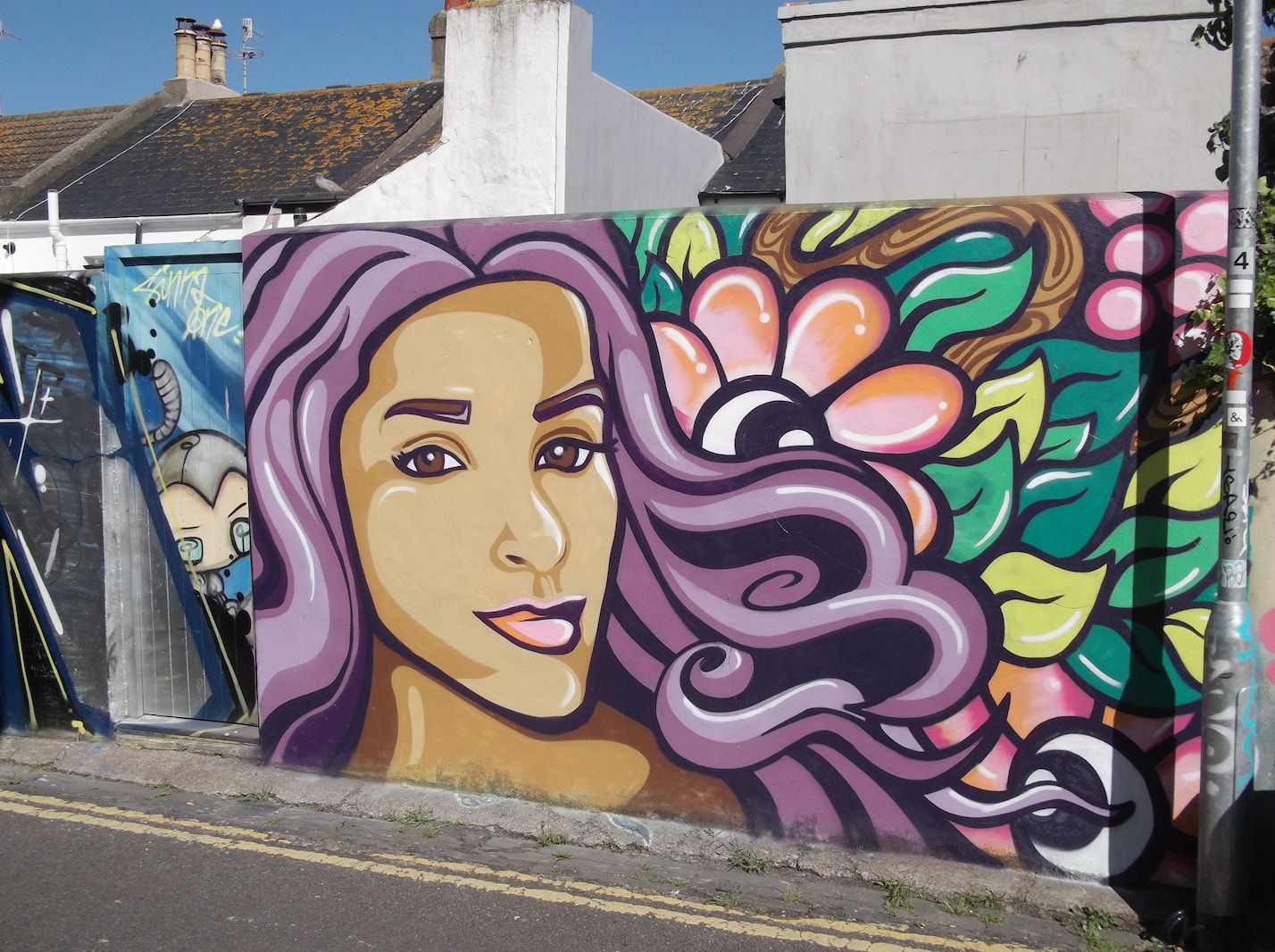 Fujifilm FinePix JV250 sample photo. Purple haired girl with flowers (graffiti trafalgar lane brighton) photography