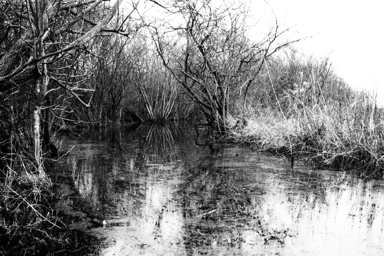 Olympus PEN E-PM1 sample photo. Flooded photography