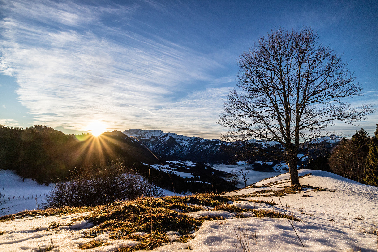 Canon EOS M3 sample photo. Tree and sunset photography