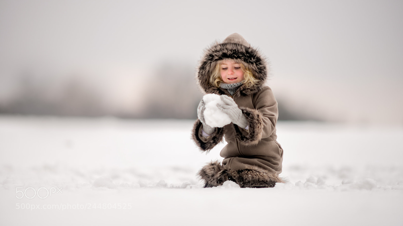 Nikon D810 sample photo. Arctic days photography