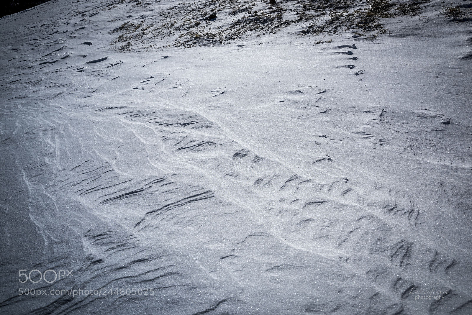 Nikon D810 sample photo. Wind & snow photography