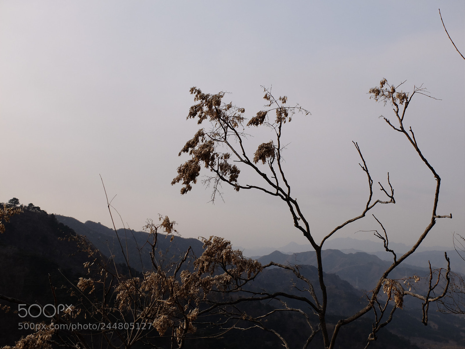 Fujifilm X30 sample photo. Esperando la primavera photography