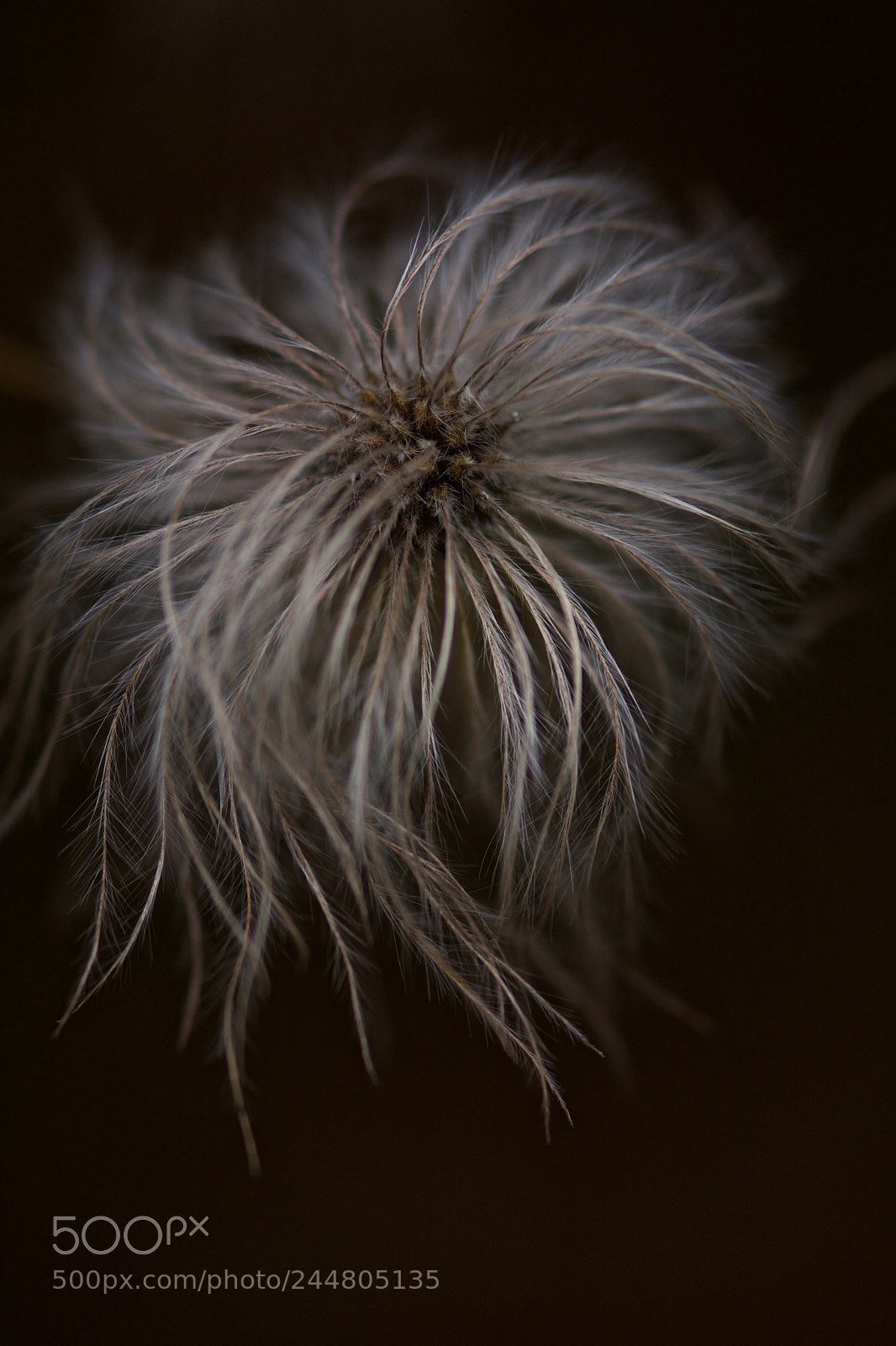 Nikon D7100 sample photo. Untitled photography