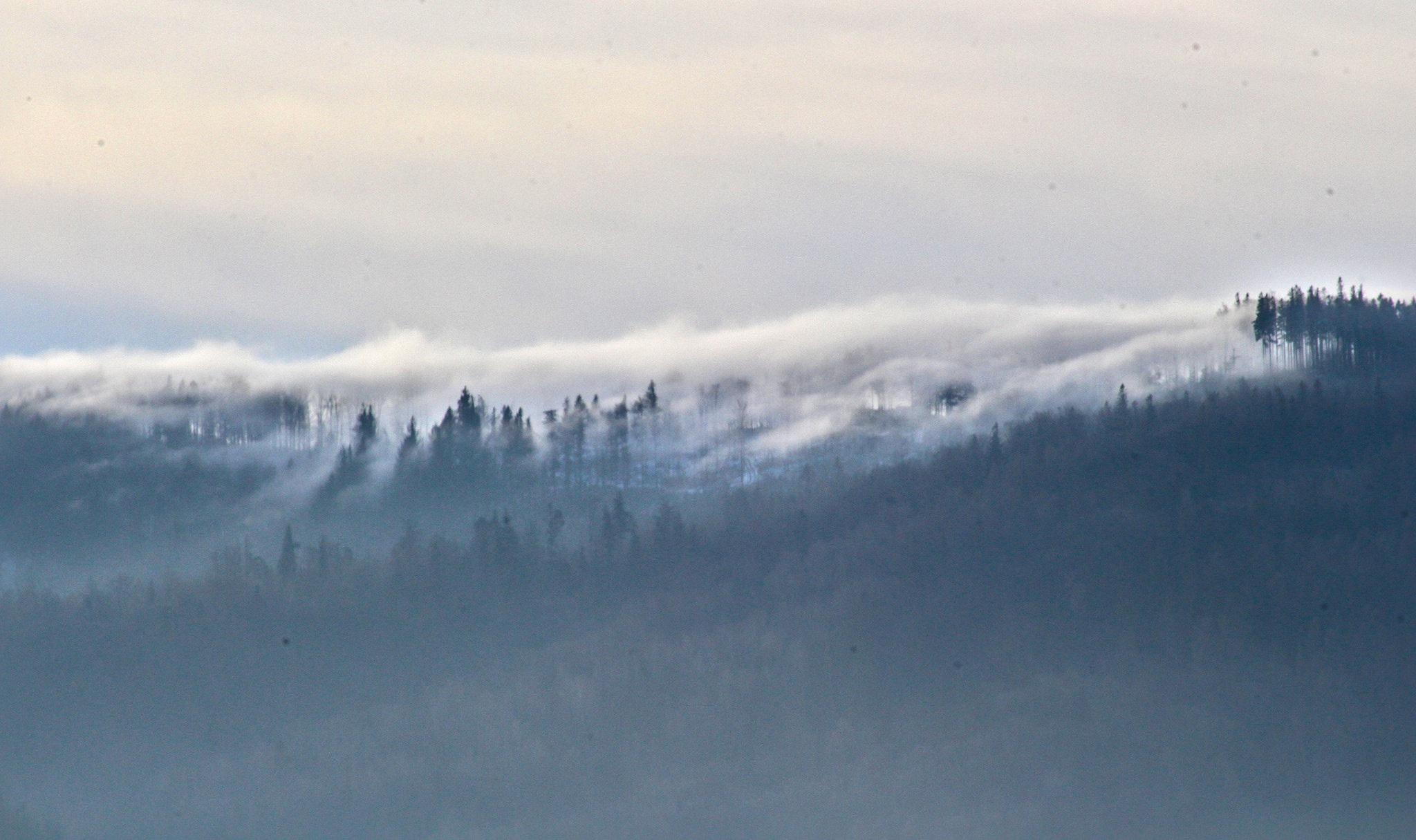 Canon EF 75-300mm f/4-5.6 USM sample photo. Foggy photography