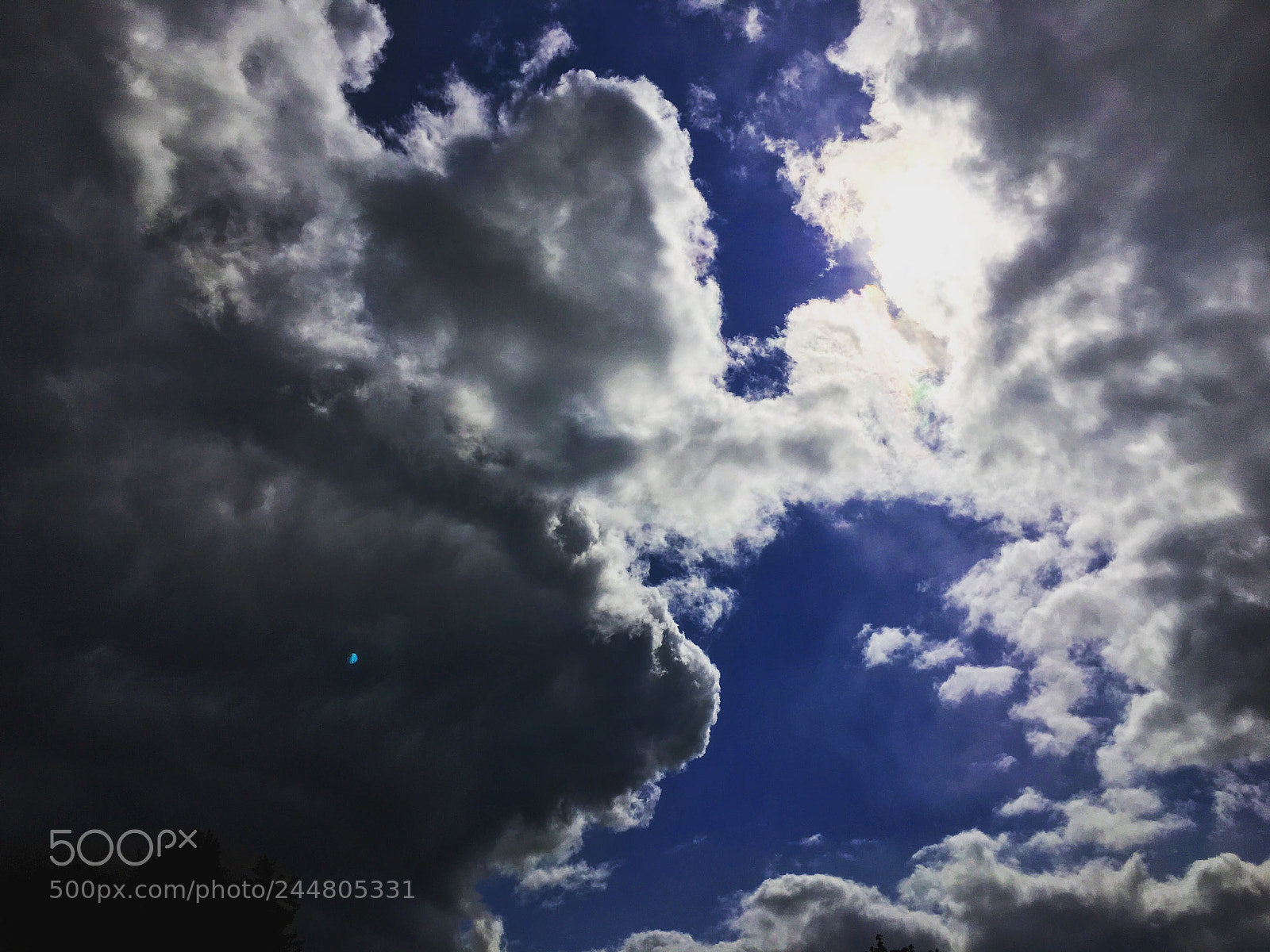 Apple iPhone 6s Plus sample photo. Ff becfabba photography
