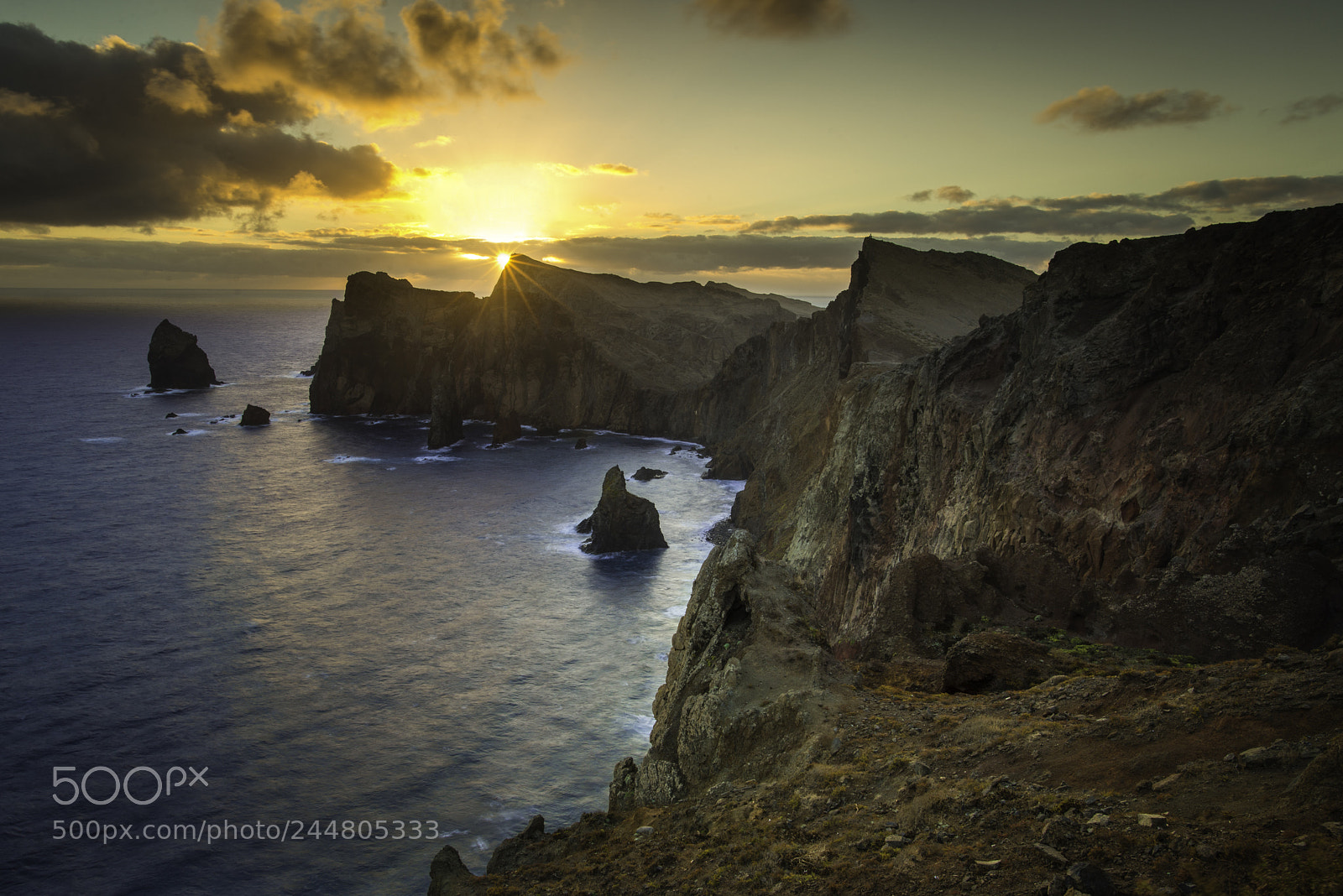 Nikon D800 sample photo. Madeira photography
