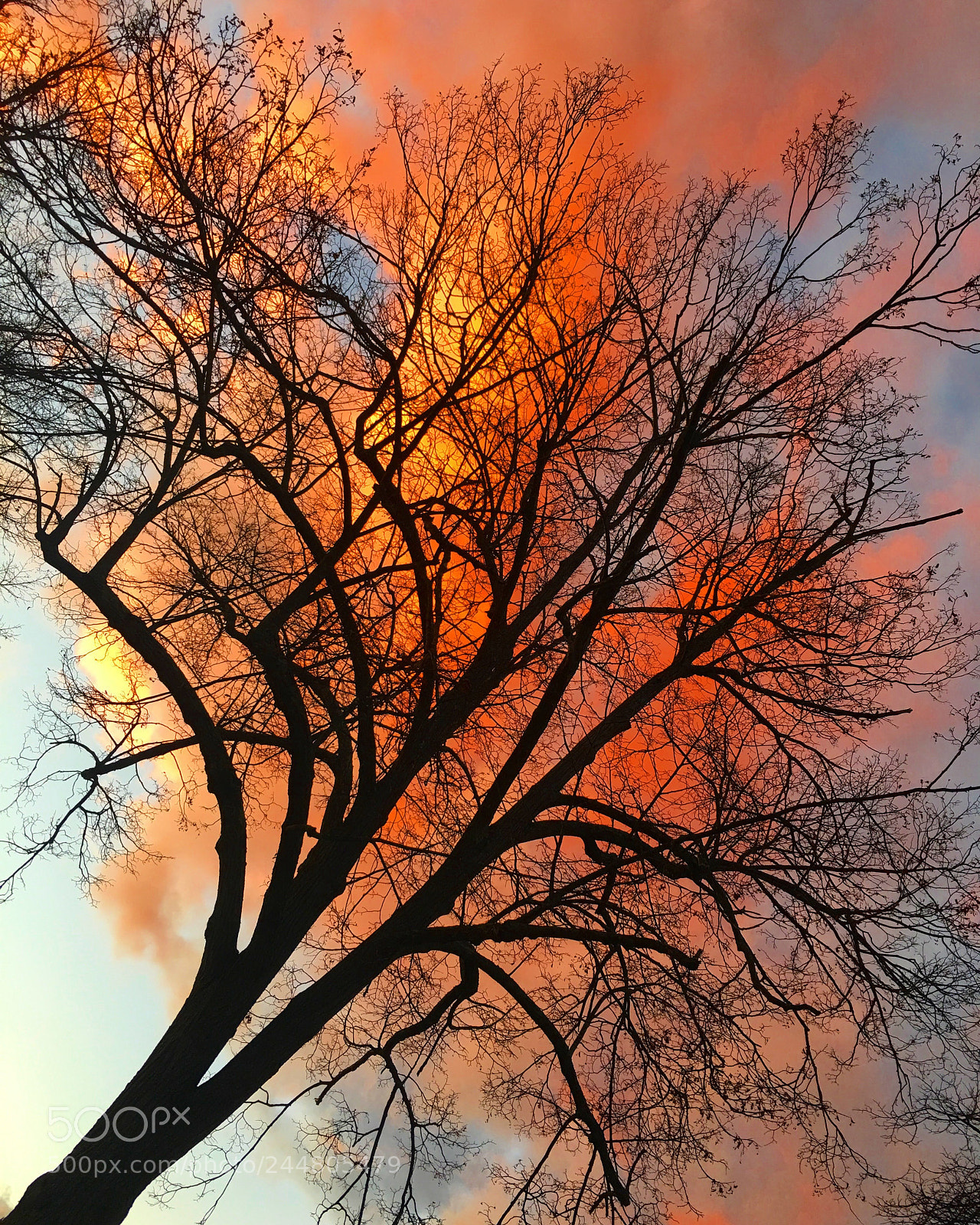 Apple iPhone 6s Plus sample photo. Fiery sky photography