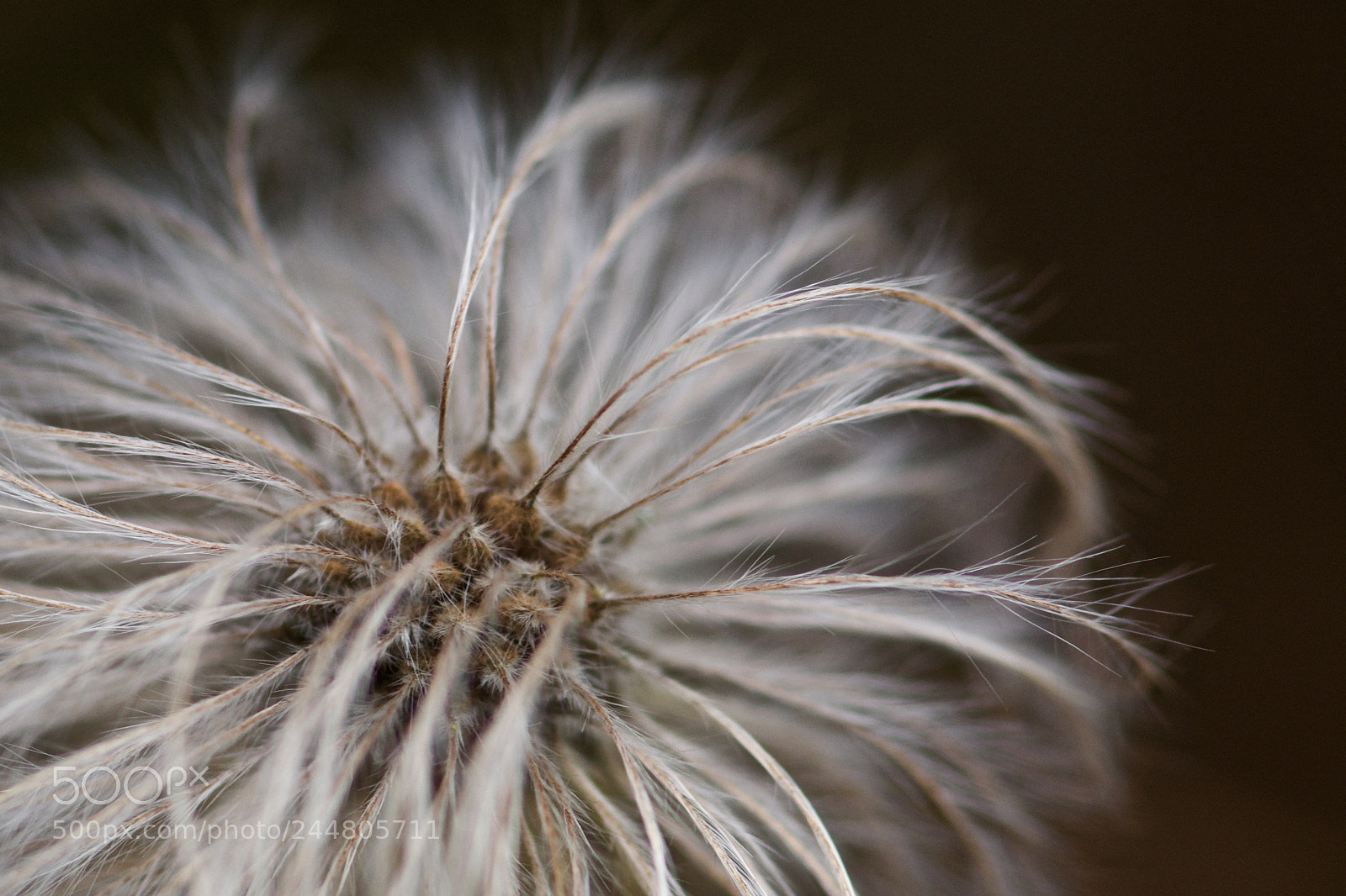 Nikon D7100 sample photo. Untitled photography