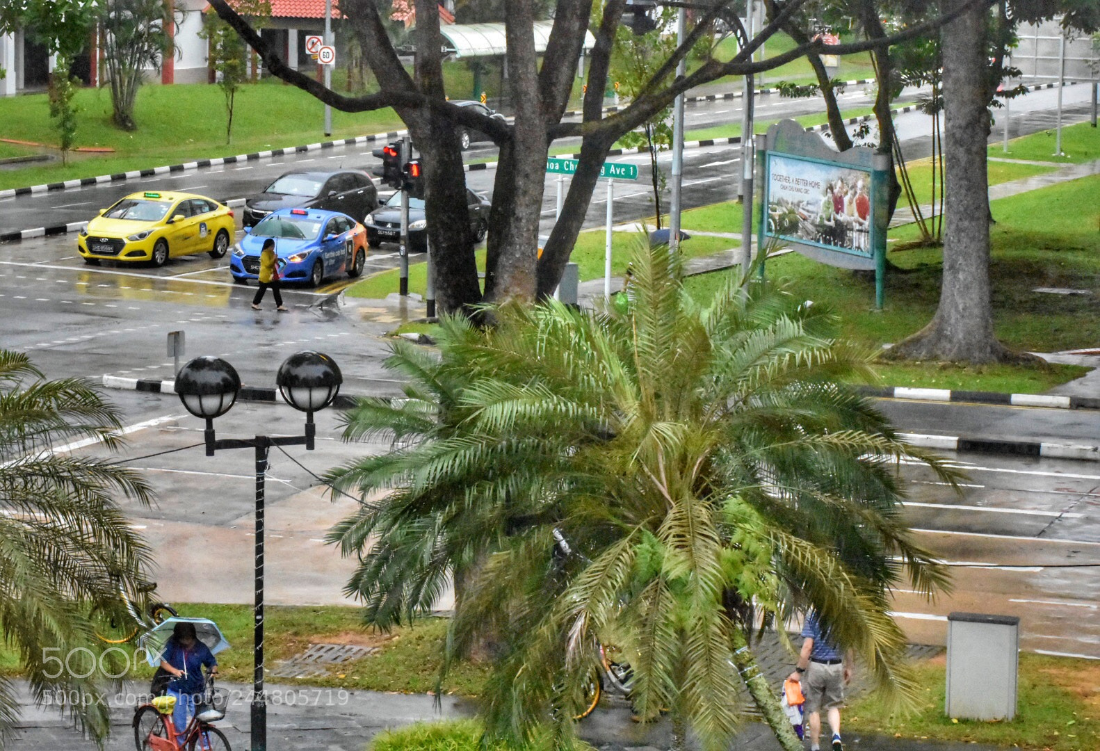 Nikon D3400 sample photo. Rainy day photography
