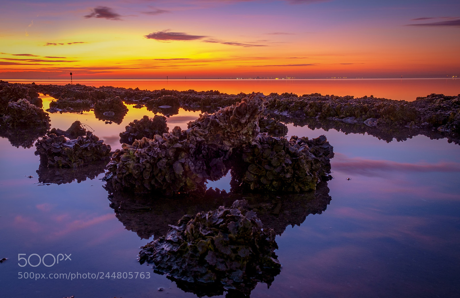 Fujifilm X-Pro1 sample photo. Sunrise over tampa bay... photography