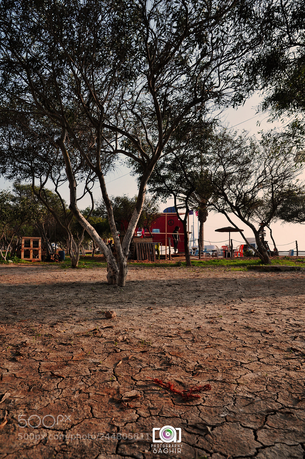 Nikon D90 sample photo. Untitled photography