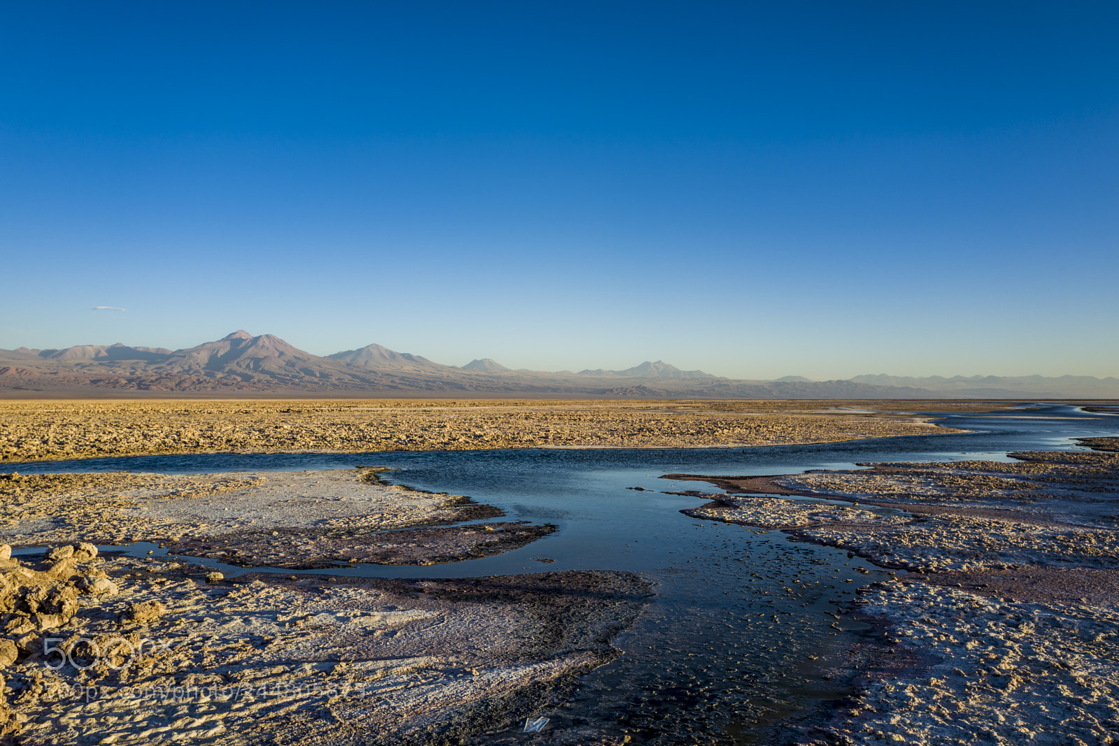 Leica Q (Typ 116) sample photo. Laguna chaxa photography