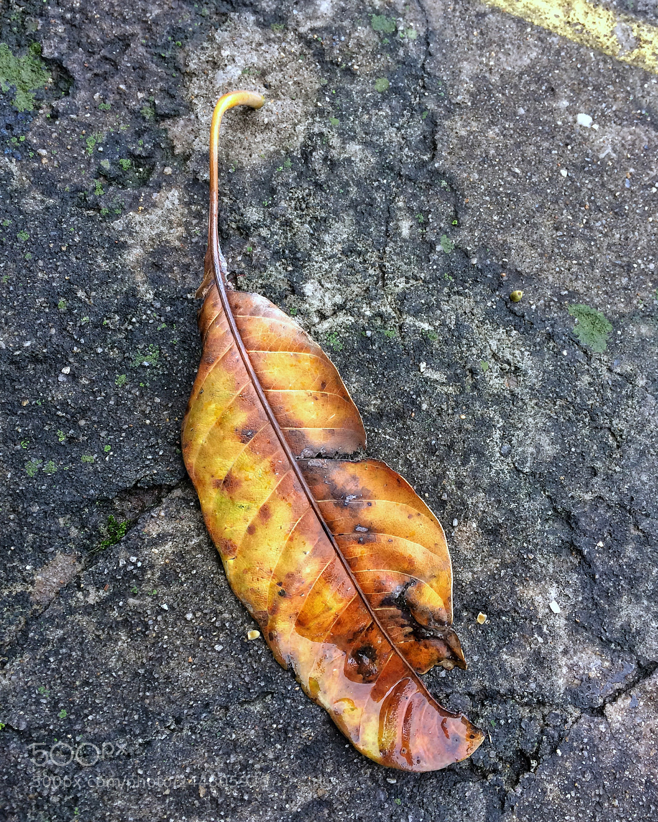 Apple iPhone 5s sample photo. Untitled photography